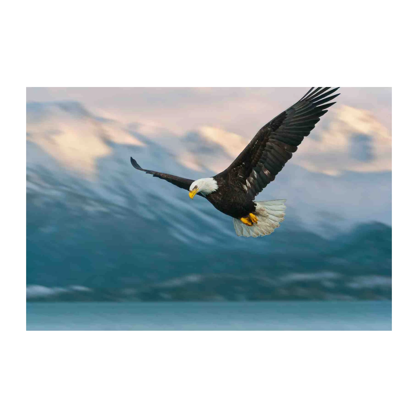 Majestic Eagle Soaring Over Mountains Wall Art