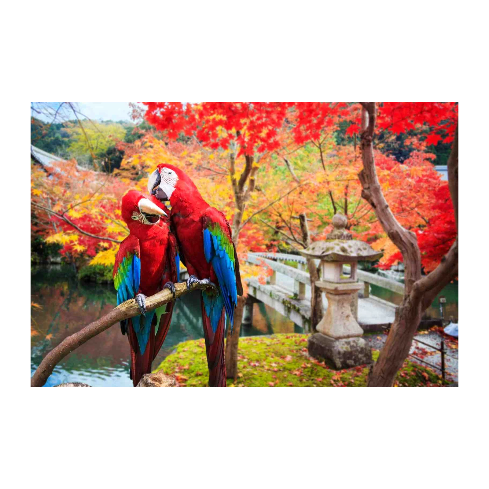 Vibrant Macaws in Autumn Garden Wall Art