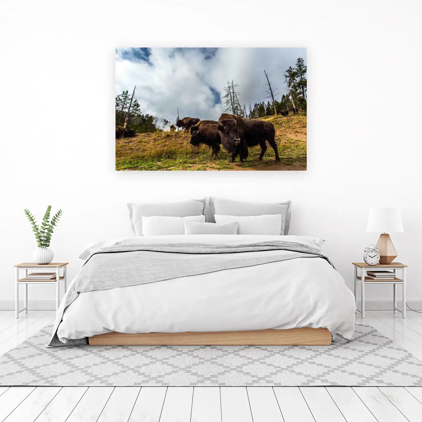 Majestic Bison Herd Yellowstone Wall Art