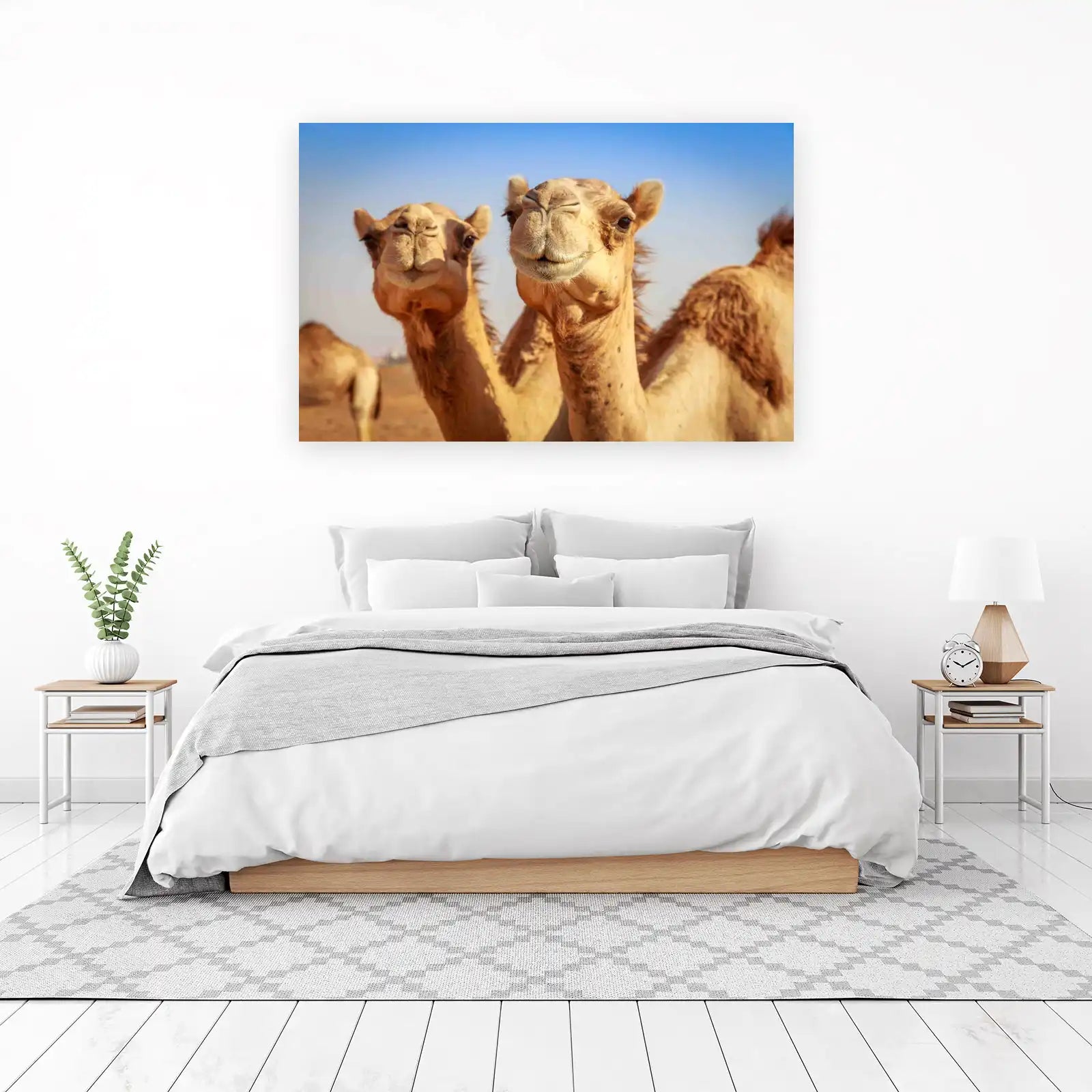 Two Camels Desert Safari Wall Art