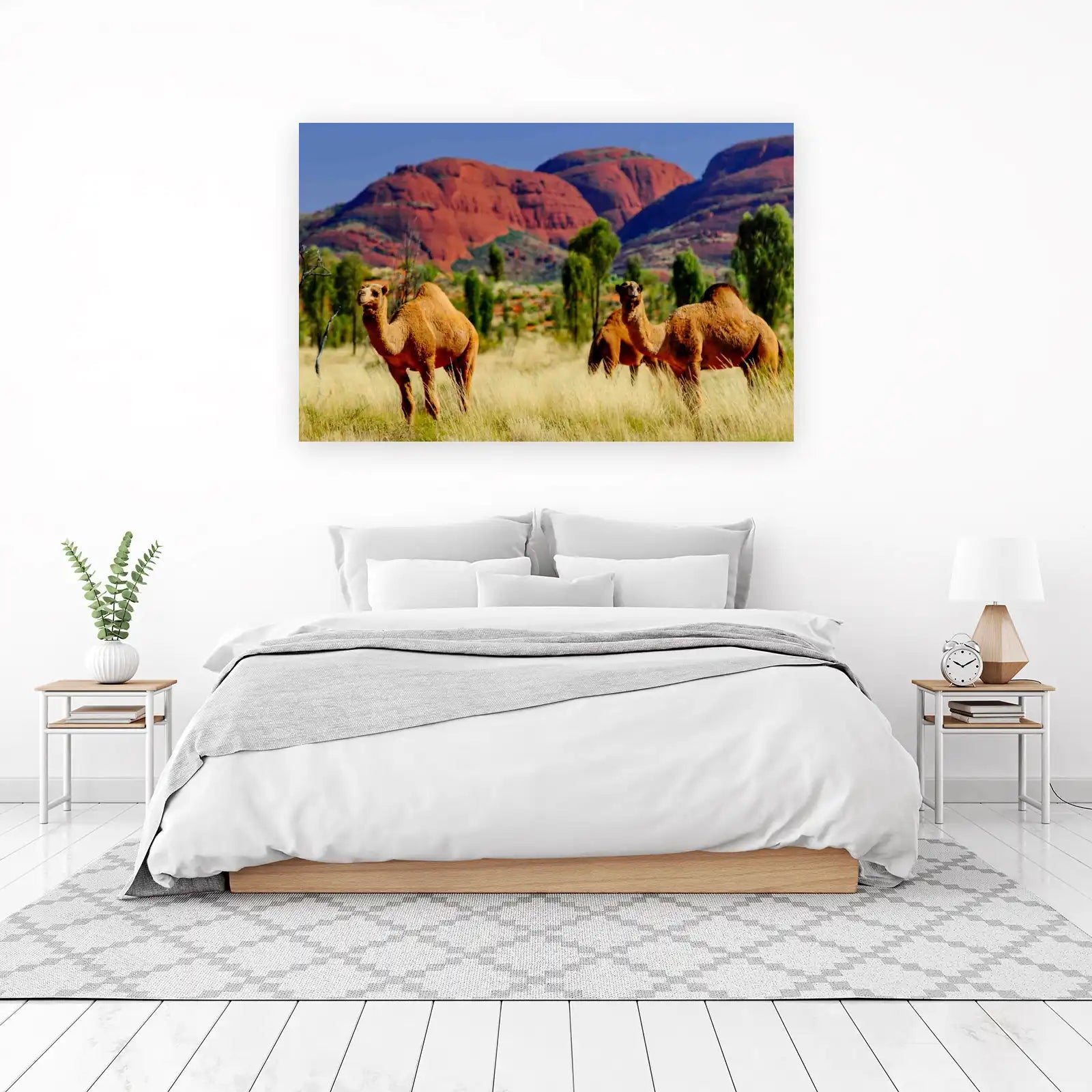 Desert Camels Outback Adventure Wall Art