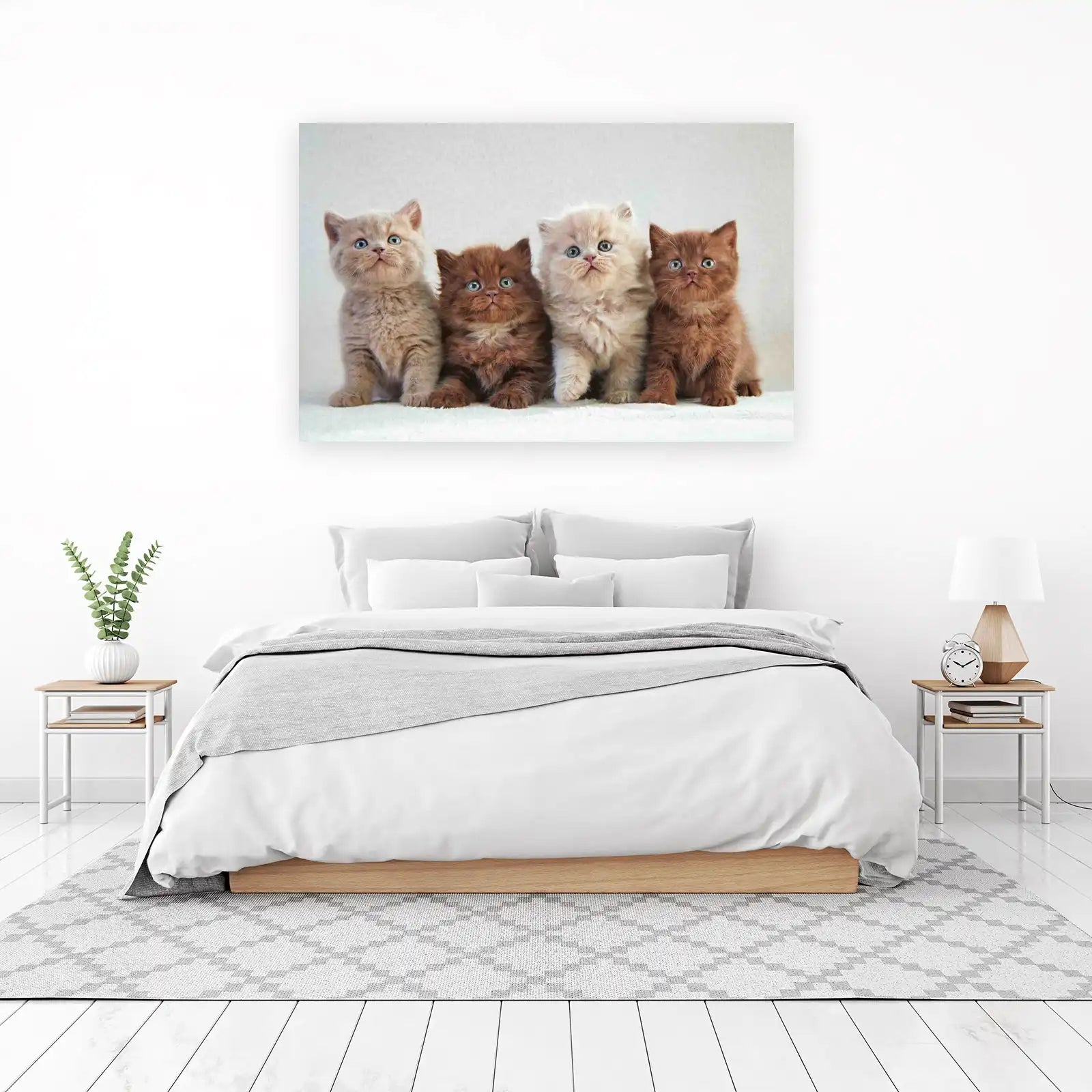 Adorable Kitten Friends British Shorthair Wall Art