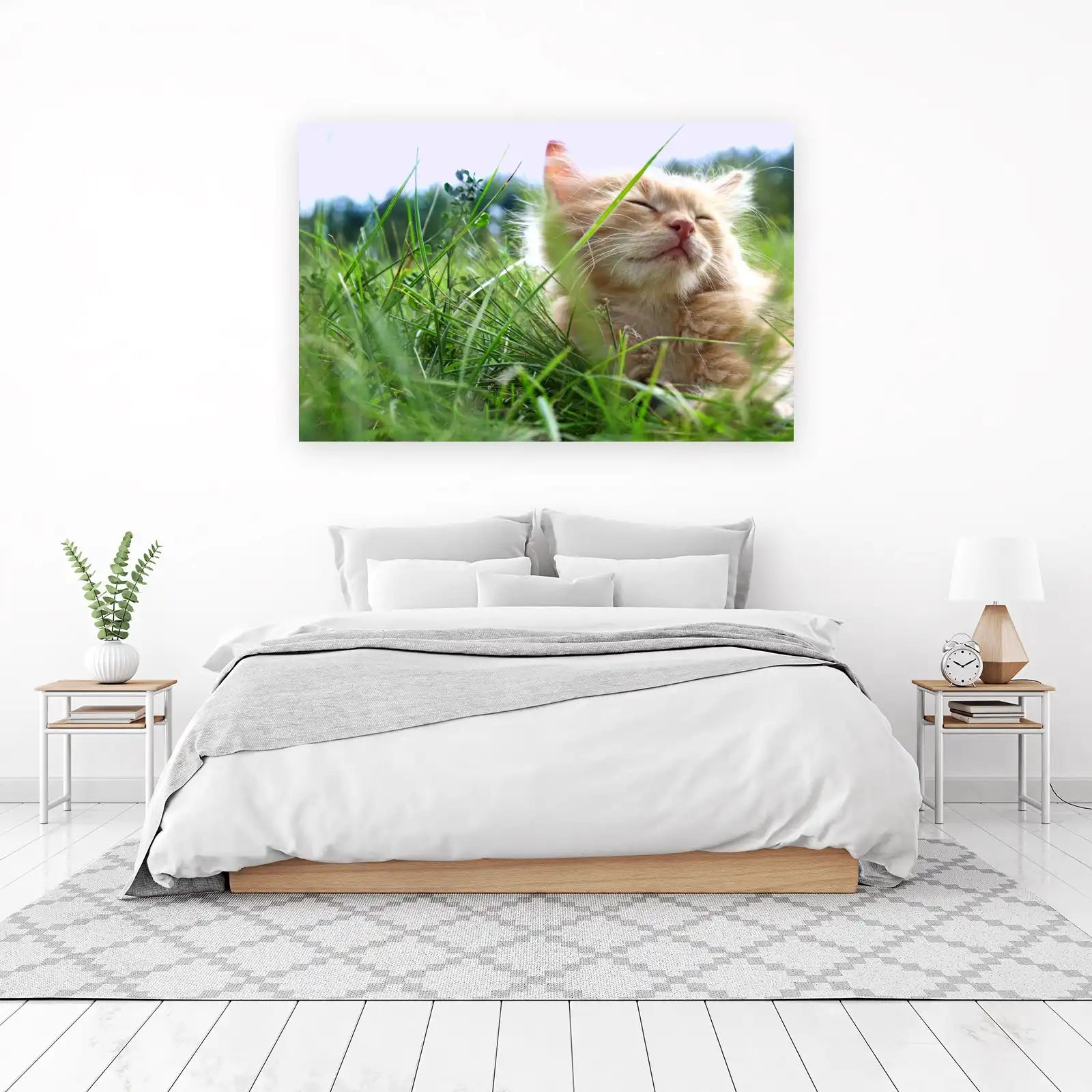 Joyful Kitten in Grass Wall Art