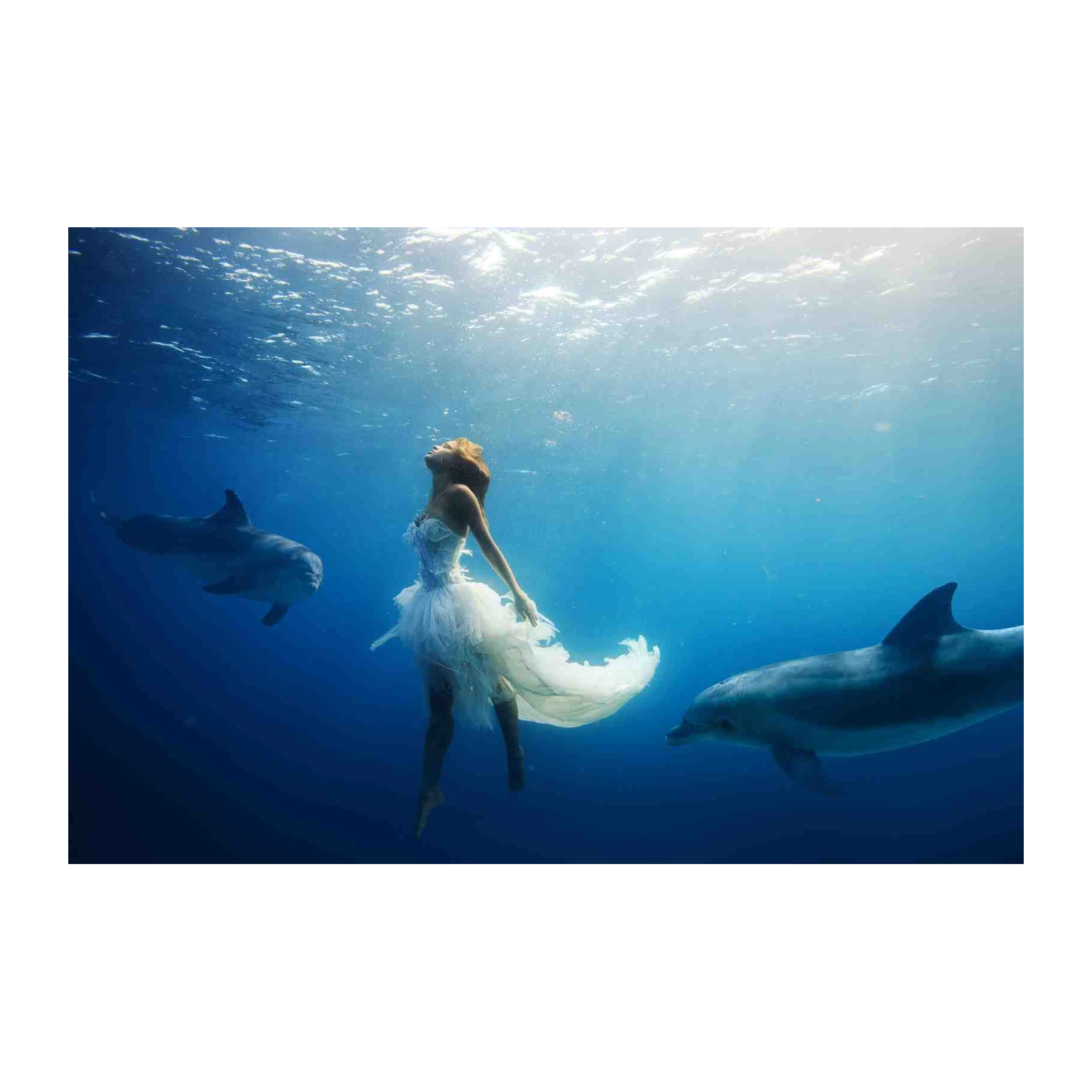 Enchanting Mermaid & Dolphin Underwater Wall Art
