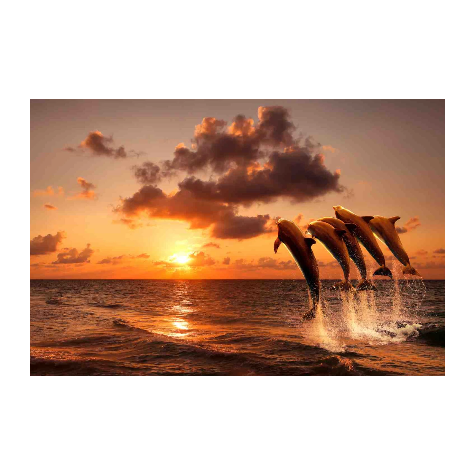 Dolphins Jumping Sunset Ocean Wall Art