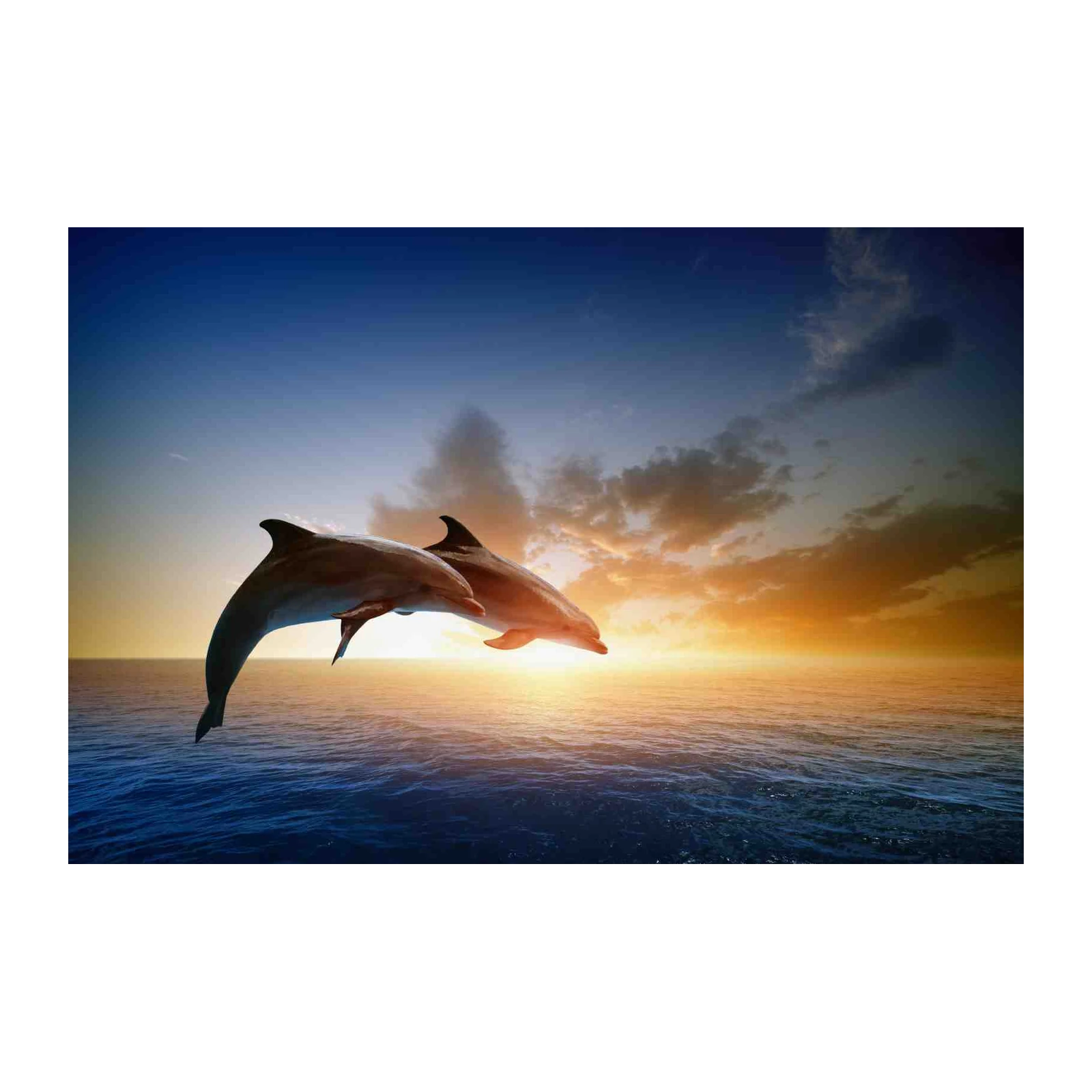 Dolphins Jumping at Sunset Wall Art
