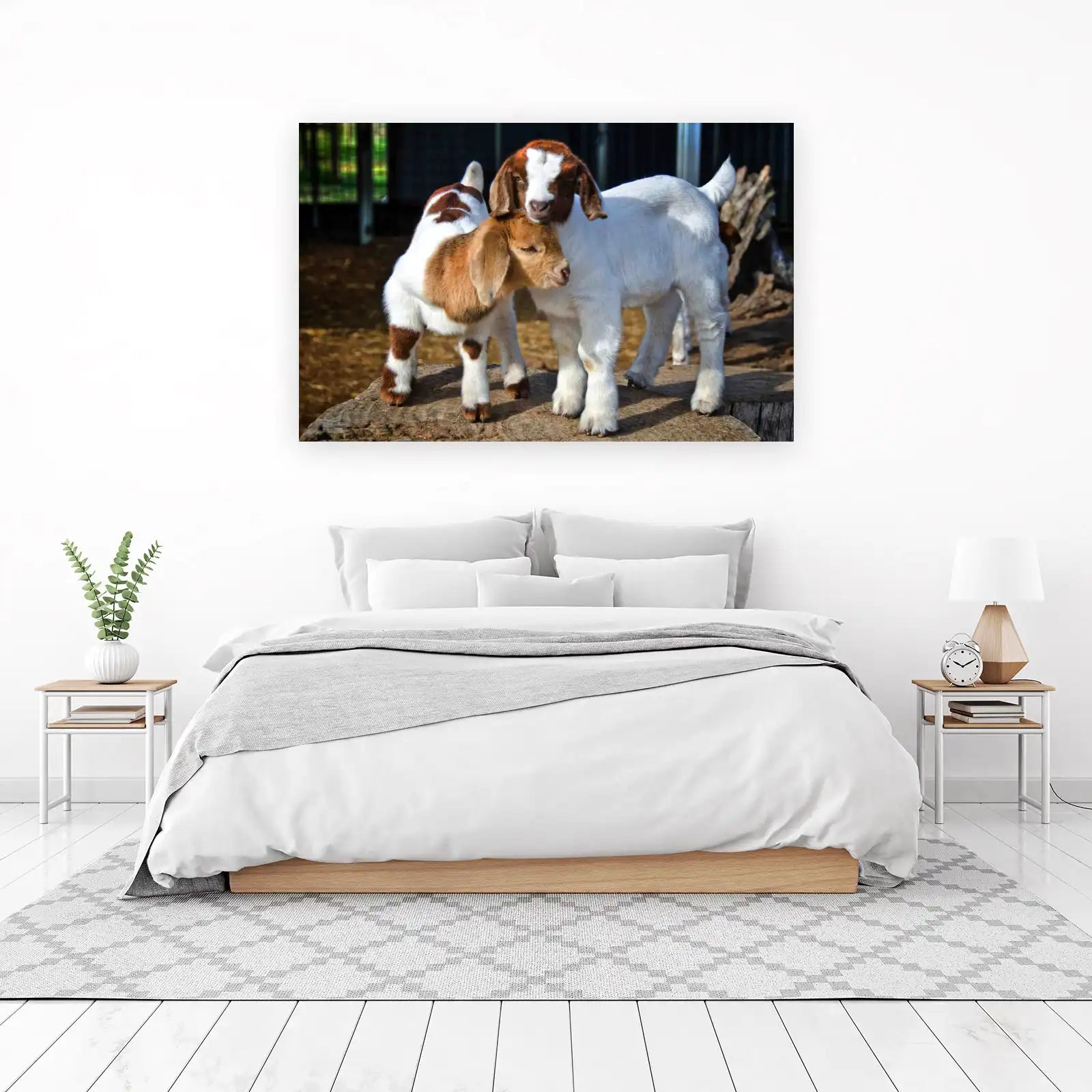 Adorable Baby Goats Hugging Wall Art