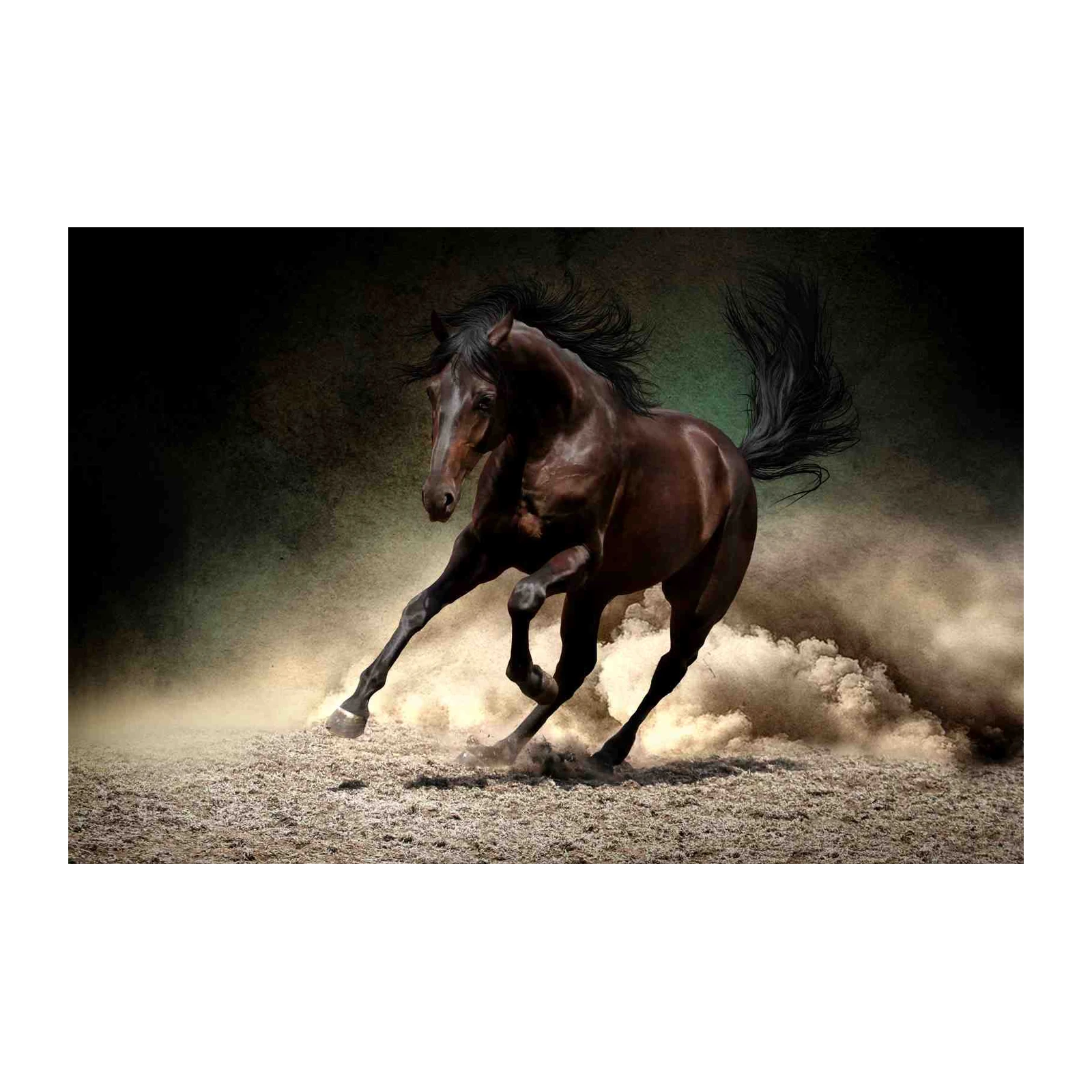 Majestic Horse Galloping Wall Art - Equestrian Art