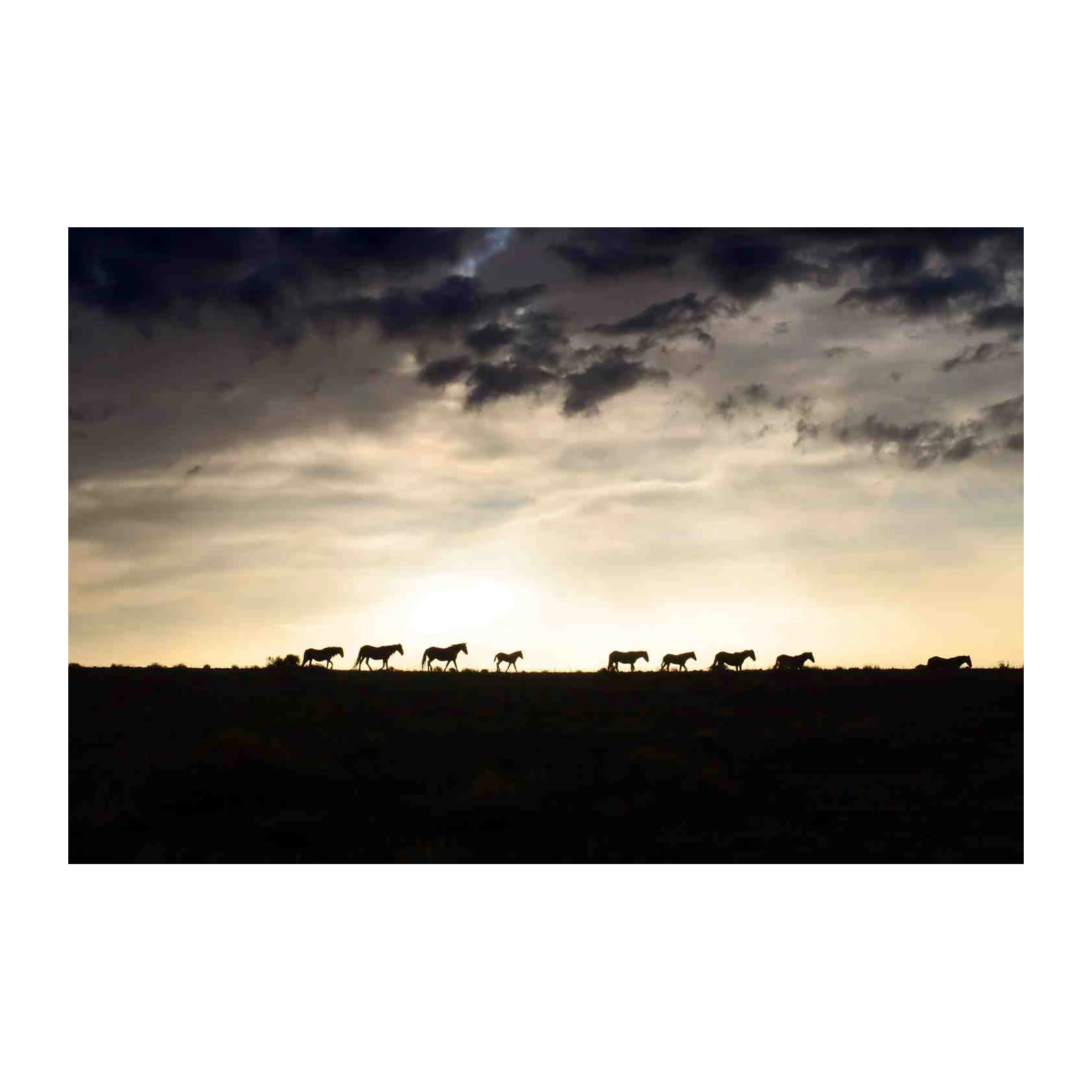 Majestic Horse Herd Sunset Silhouette Wall Art