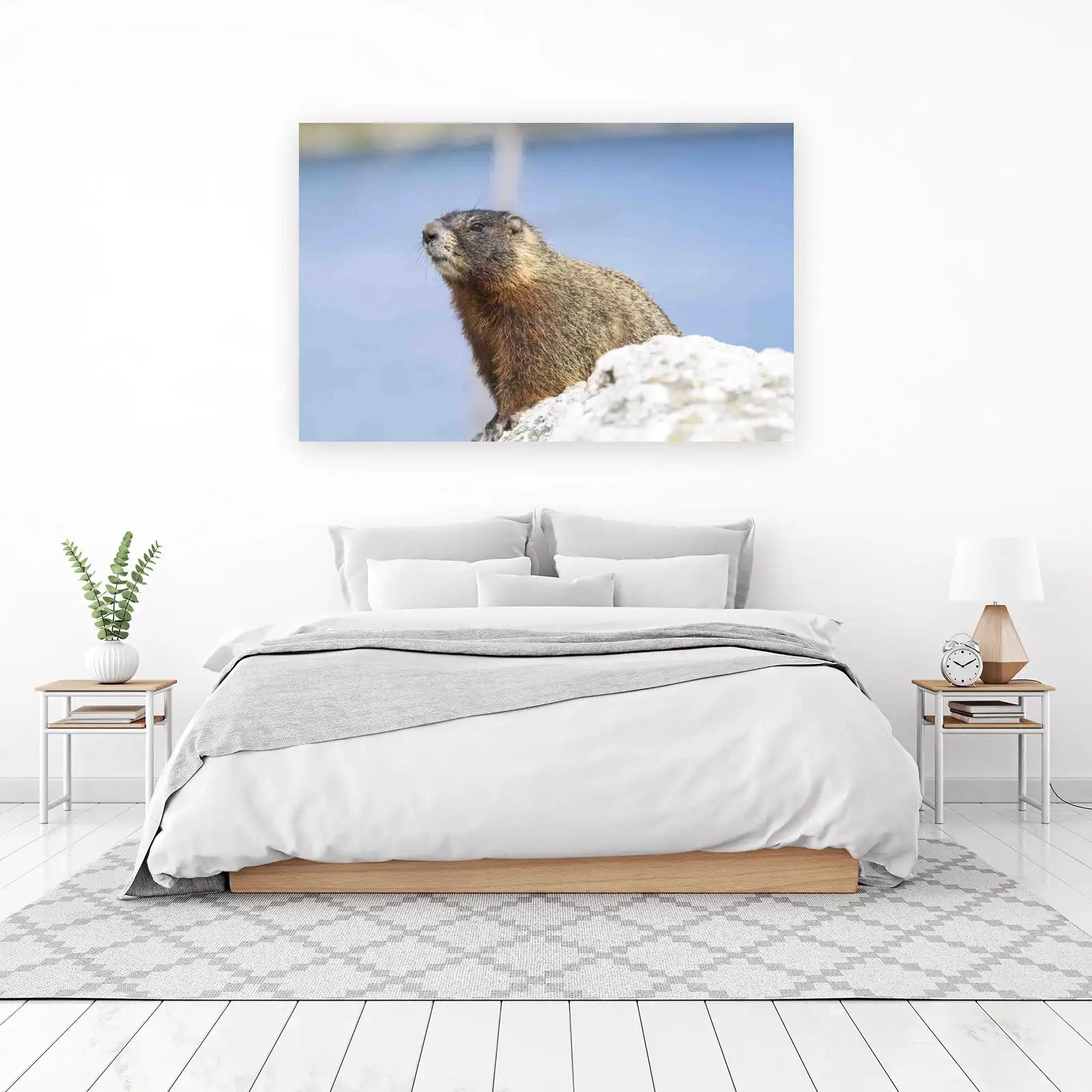 Curious Marmot Wildlife Wall Art