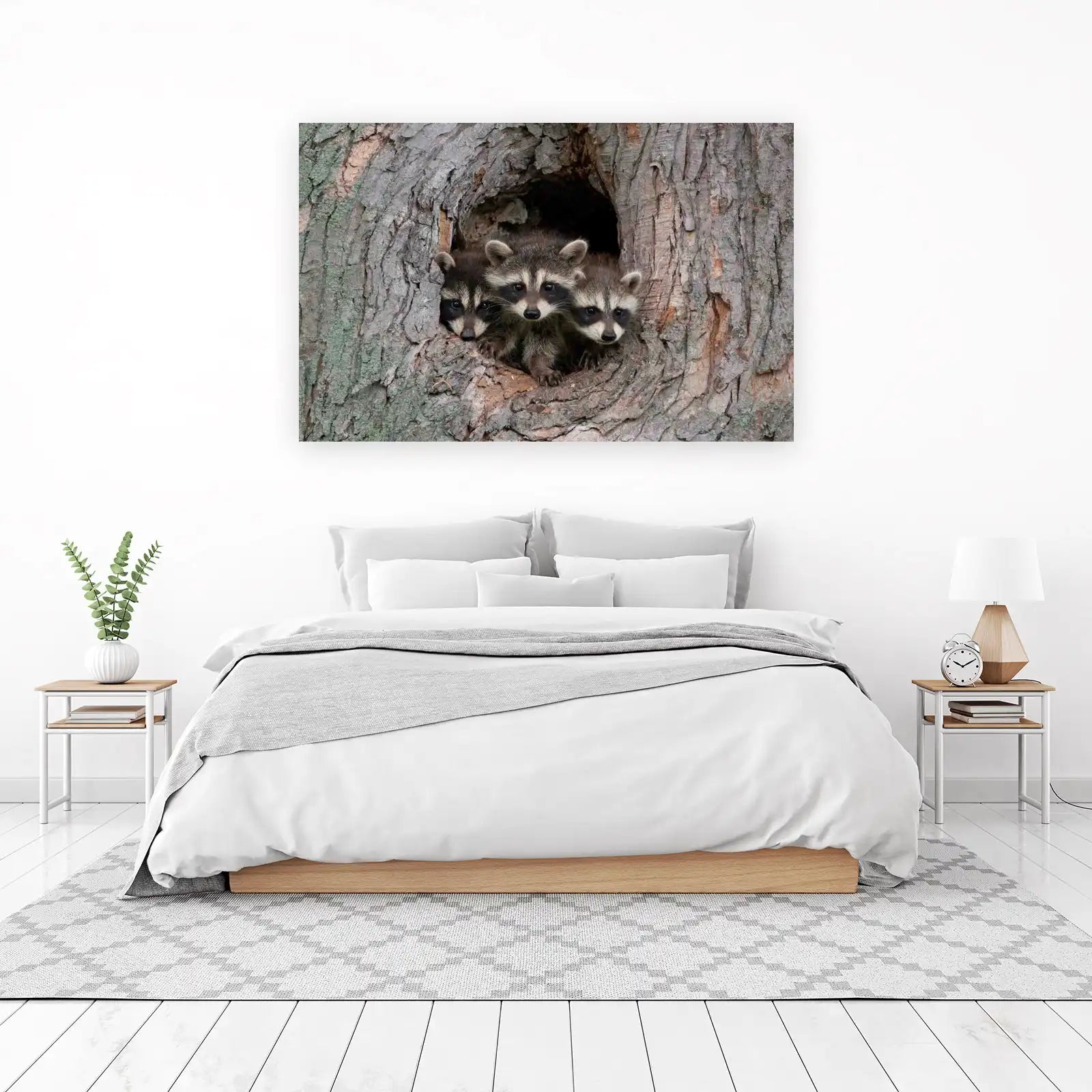 Adorable Trio of Raccoons in Tree Wall Art