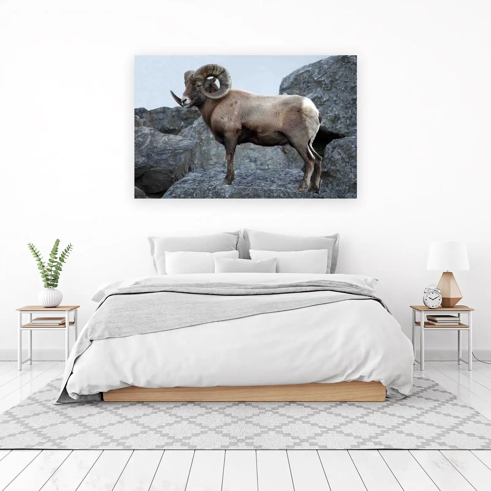 Majestic Bighorn Sheep Rocky Mountain Wall Art