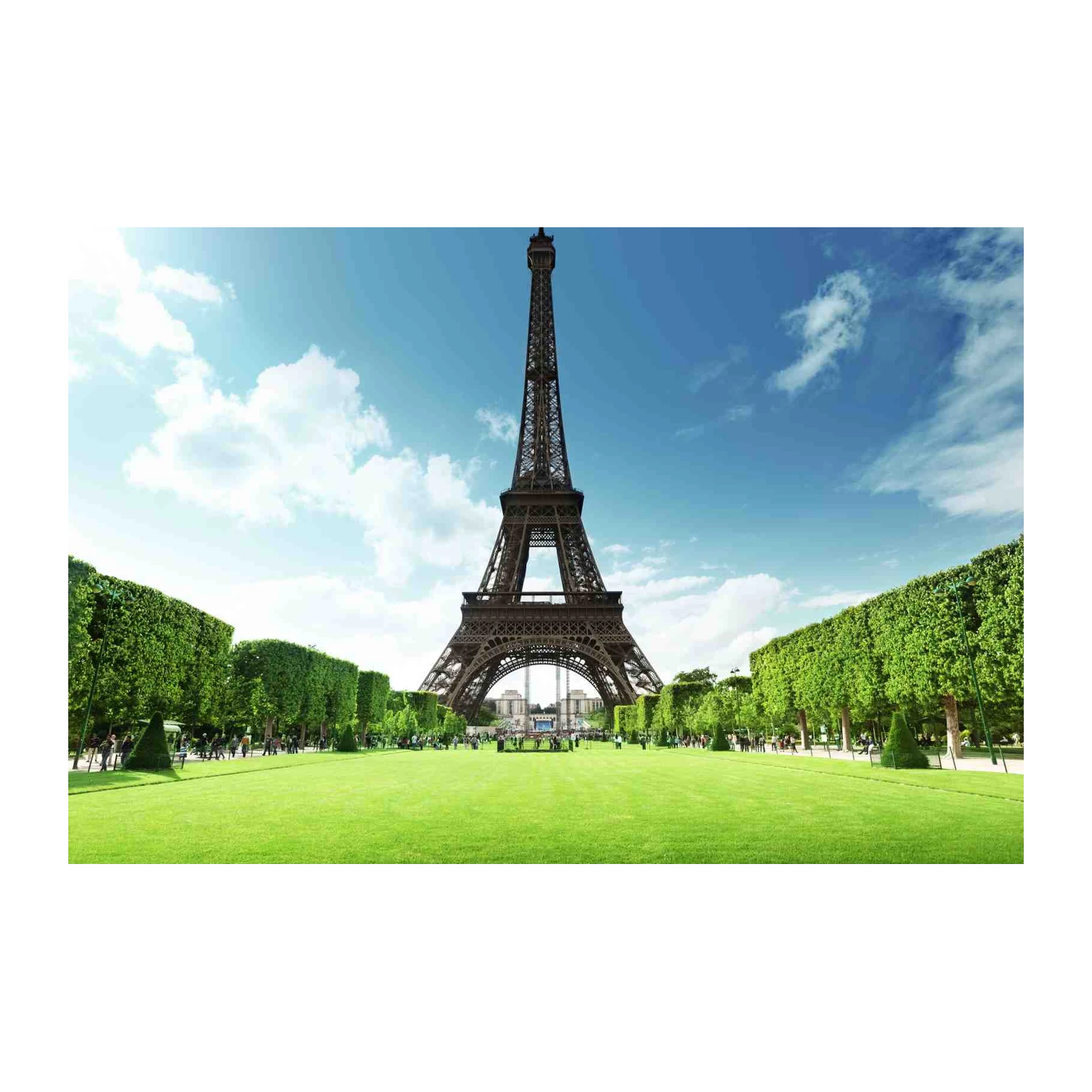 Eiffel Tower Paris France Green Field Wall Art