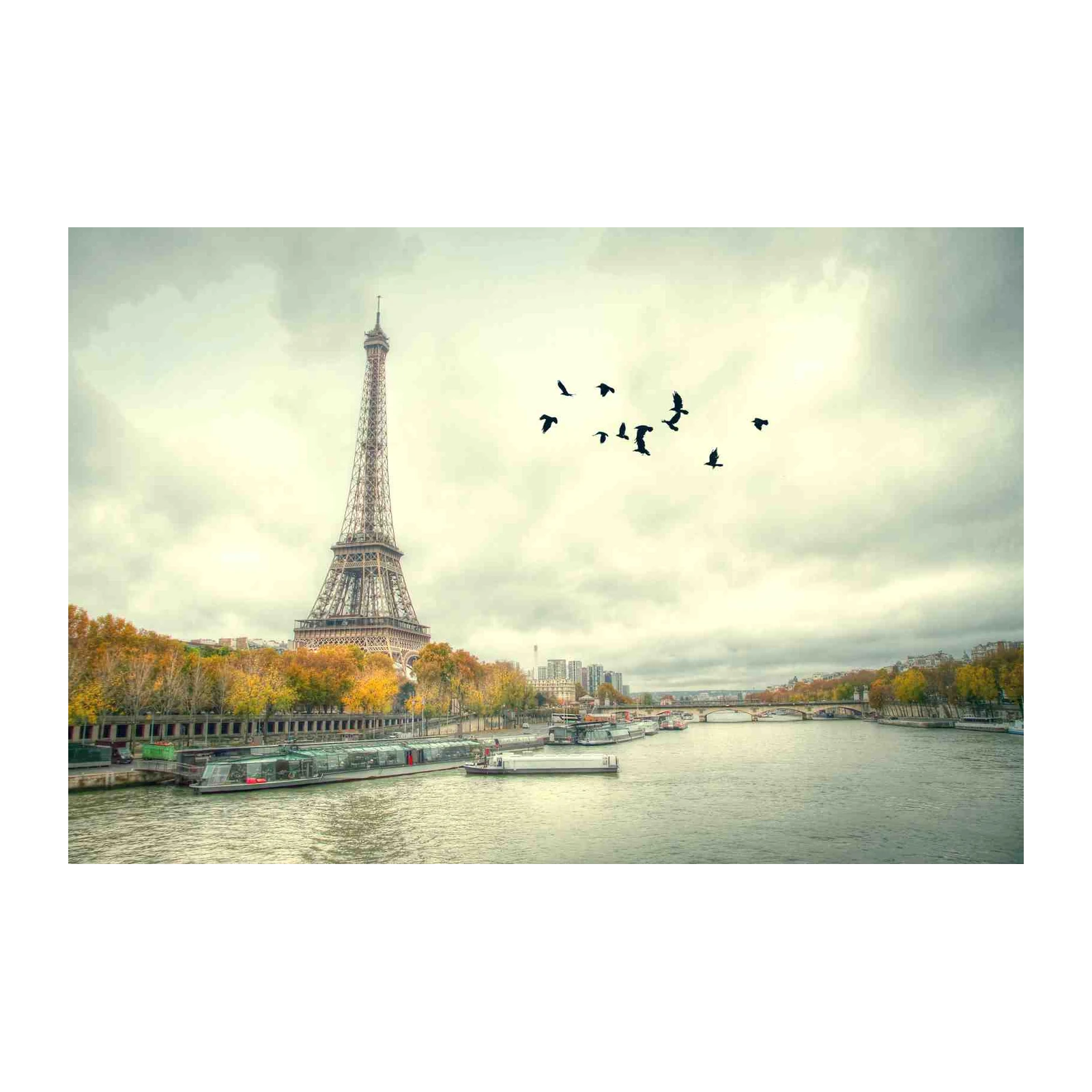 Parisian Eiffel Tower & Seine River Wall Art
