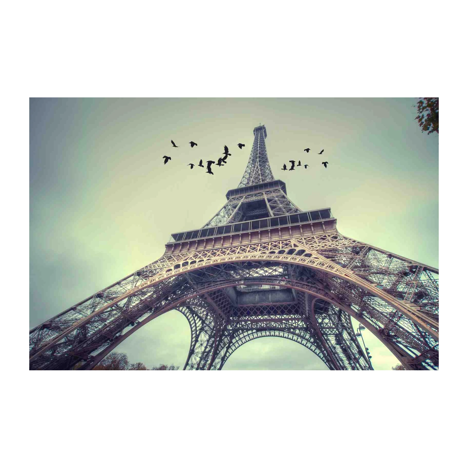 Eiffel Tower Birds Sky Wall Art