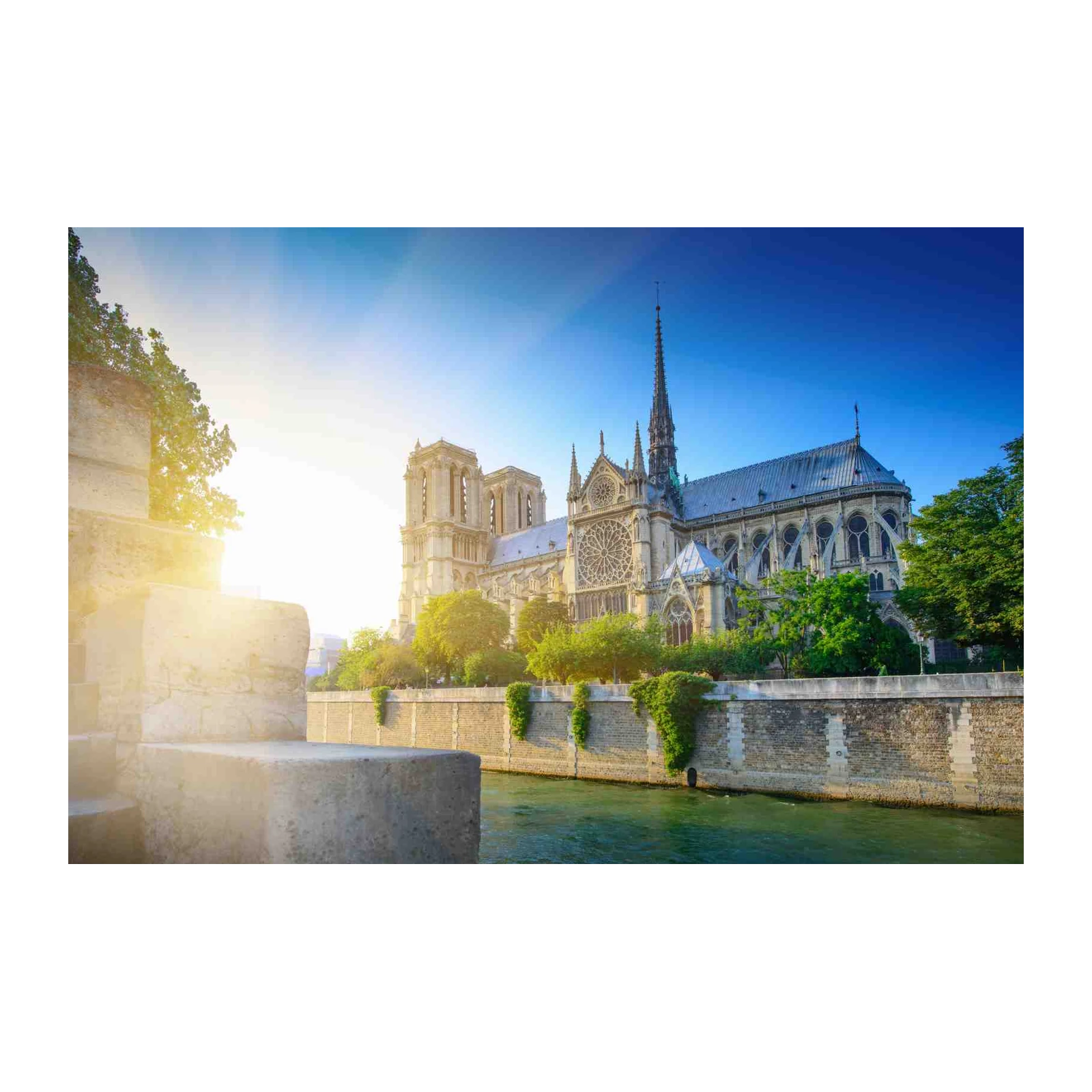 Parisian Sunlight Notre Dame Wall Art