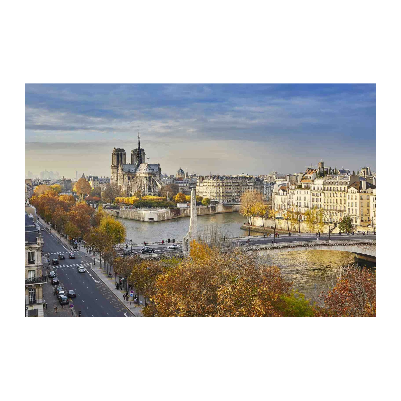 Parisian Autumn Notre Dame Wall Art
