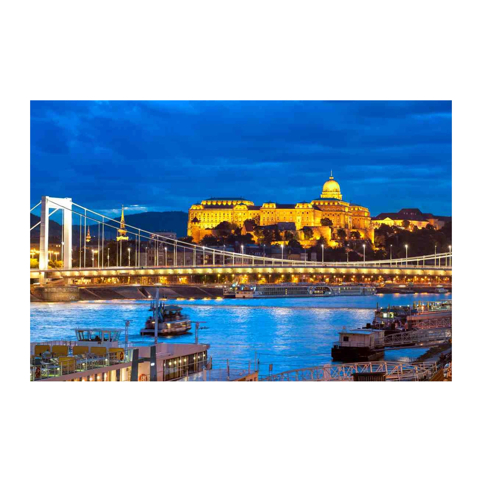 Budapest Danube Bridge Cityscape Wall Art