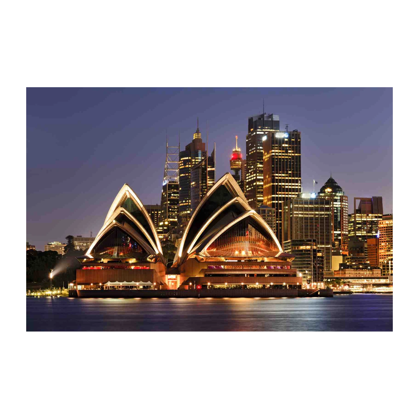 Sydney Opera House at Night Wall Art