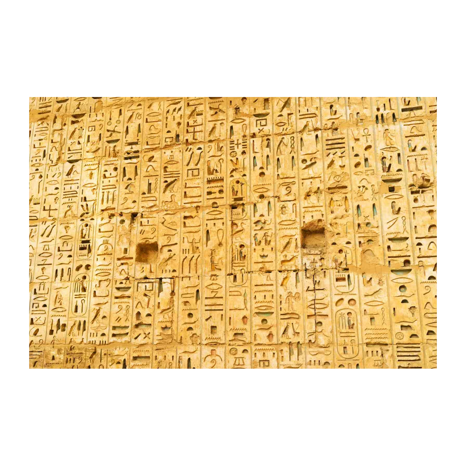 Ancient Egyptian Hieroglyphics Wall Art Wall Art