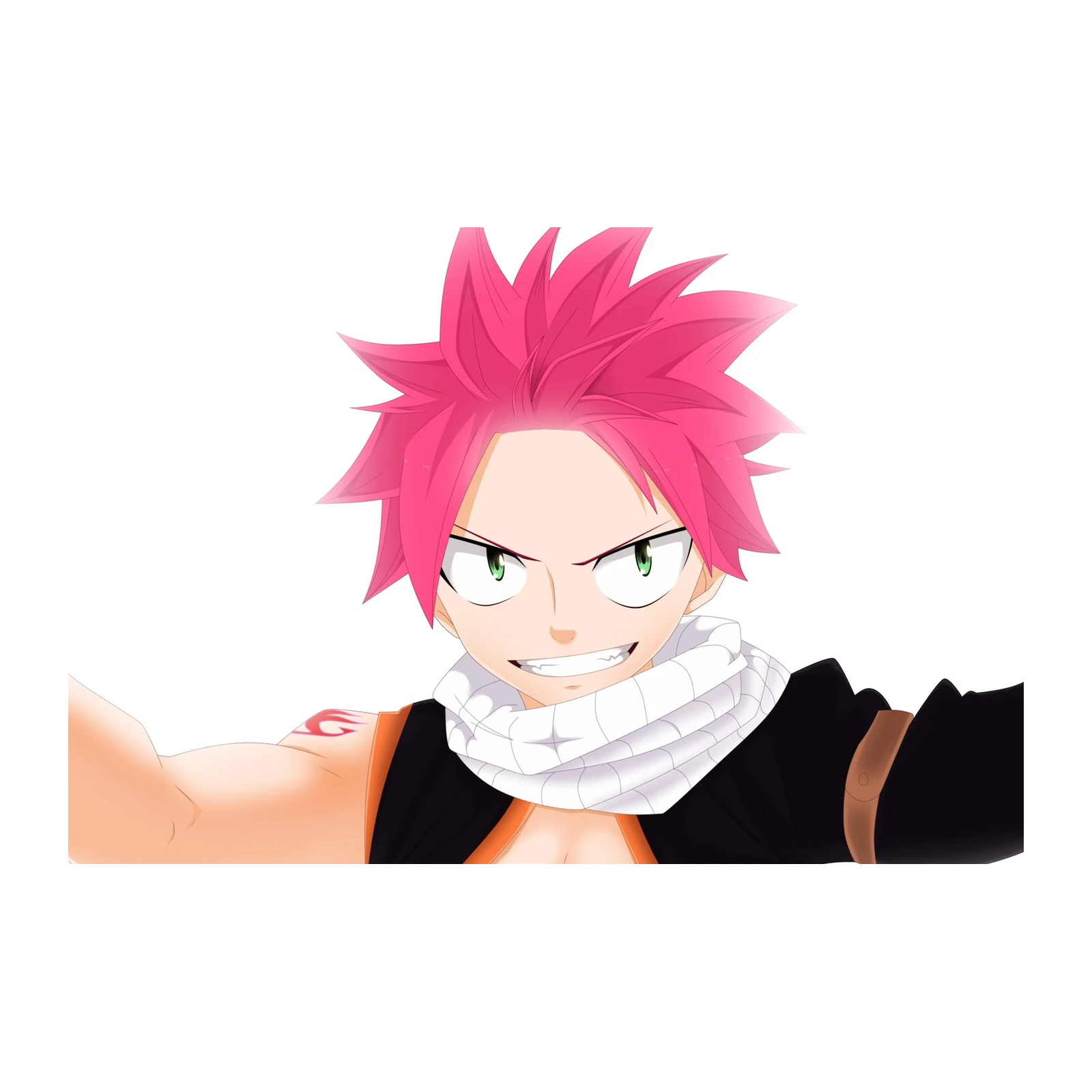 Fiery Dragon Slayer Natsu Wall Art