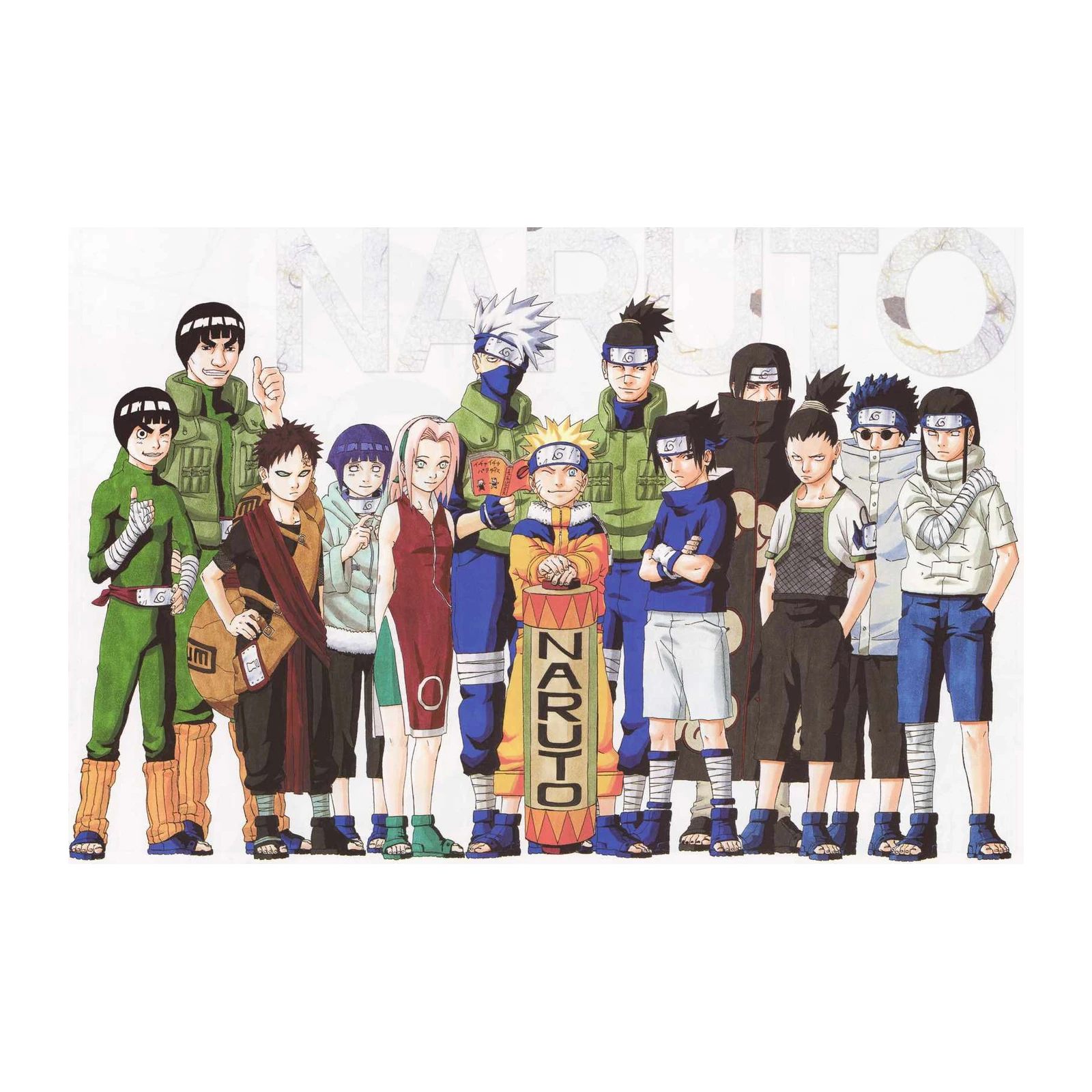 Naruto Shippuden Characters Group Wall Art