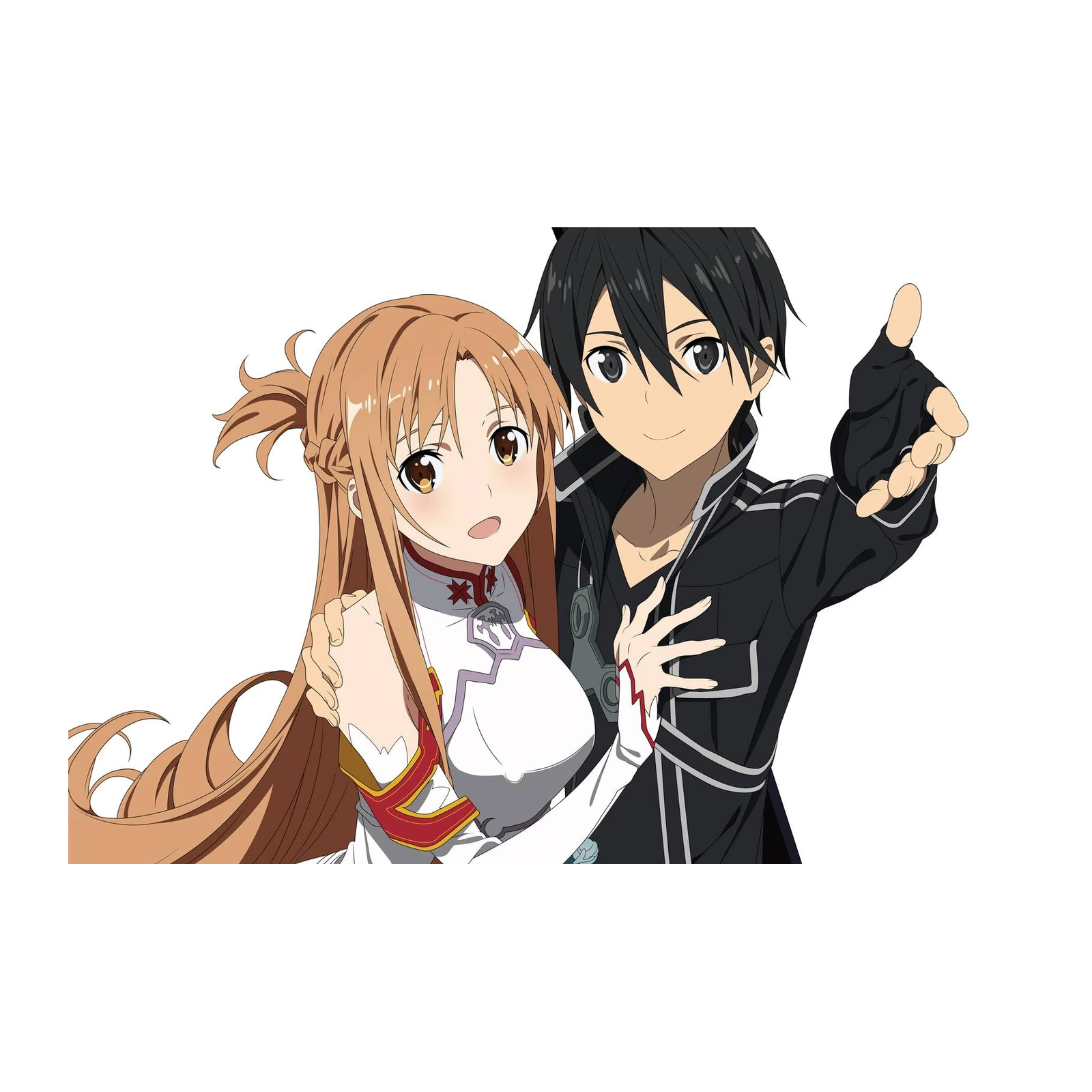 Sword Art Online Kirito Asuna Wall Art