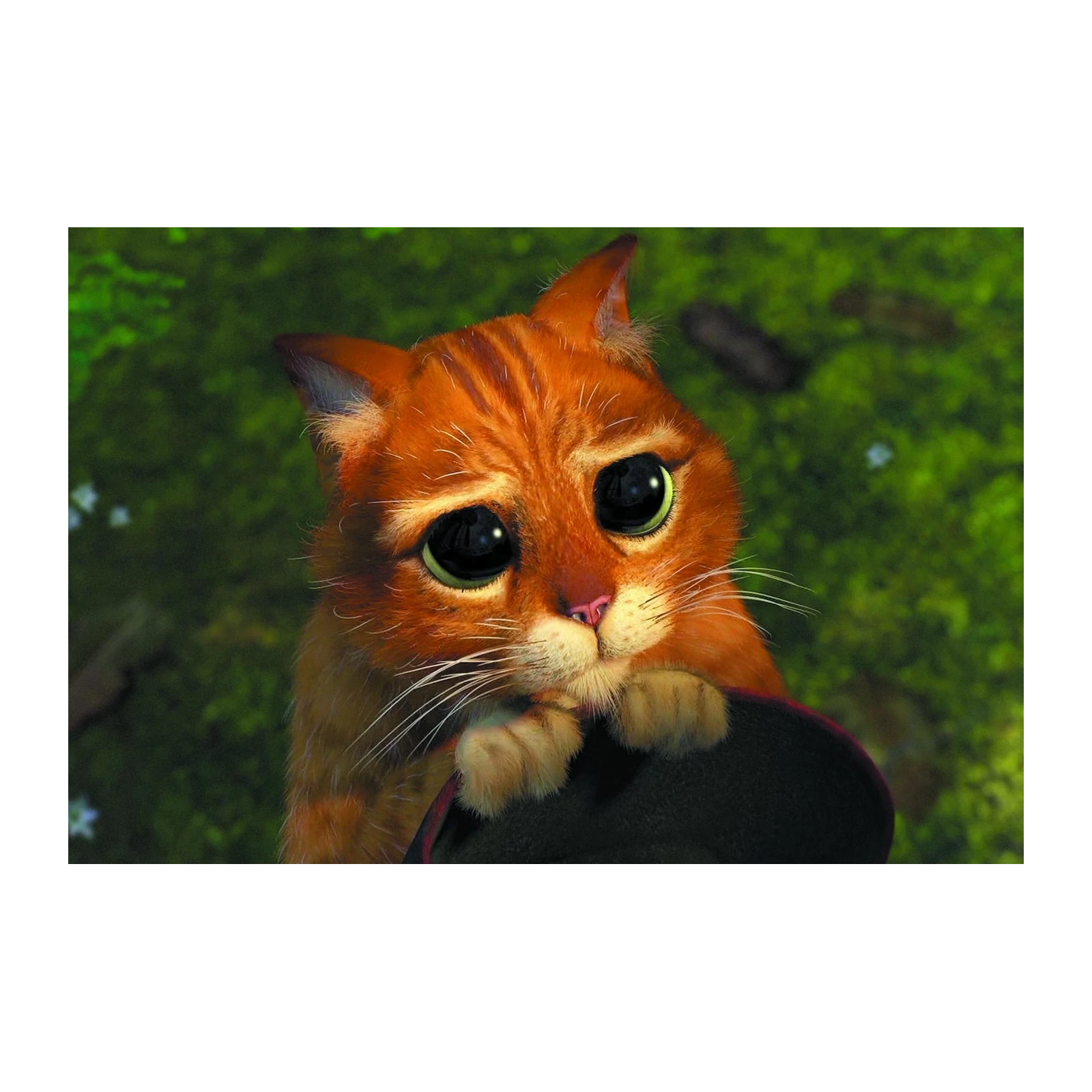 Puss in Boots Adorable Eyes Wall Art