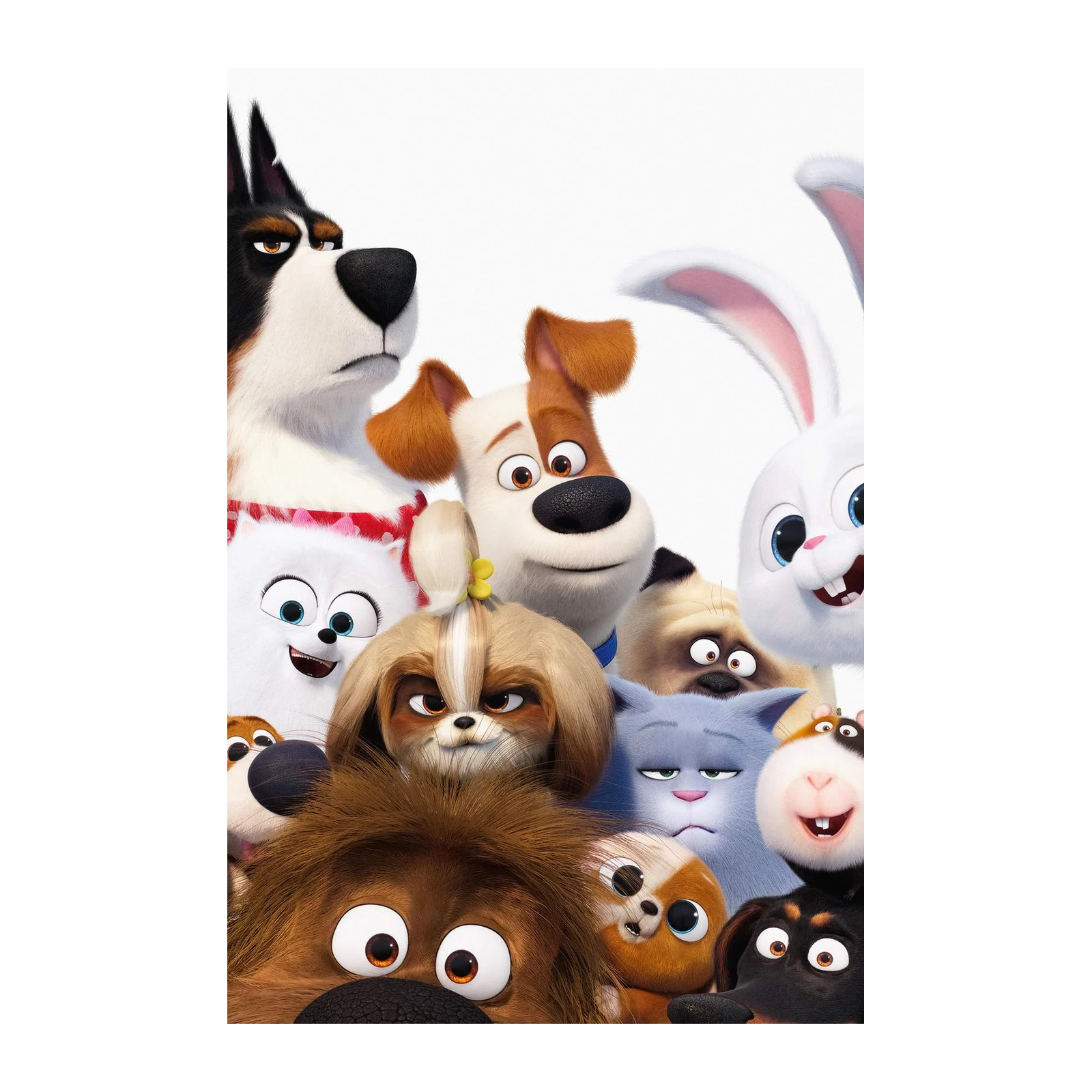 The Secret Life of Pets Characters Wall Art