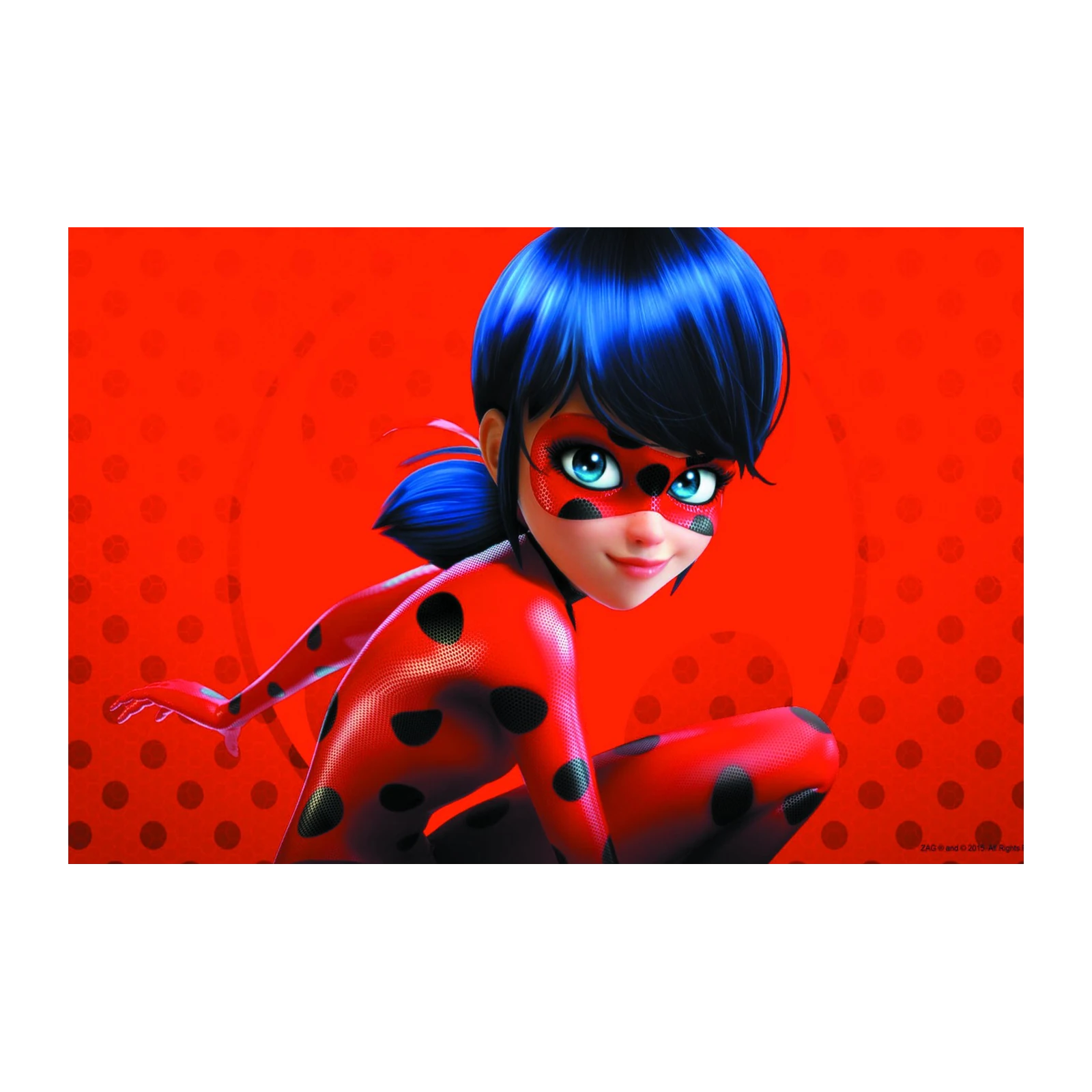 Miraculous Ladybug Hero Wall Art