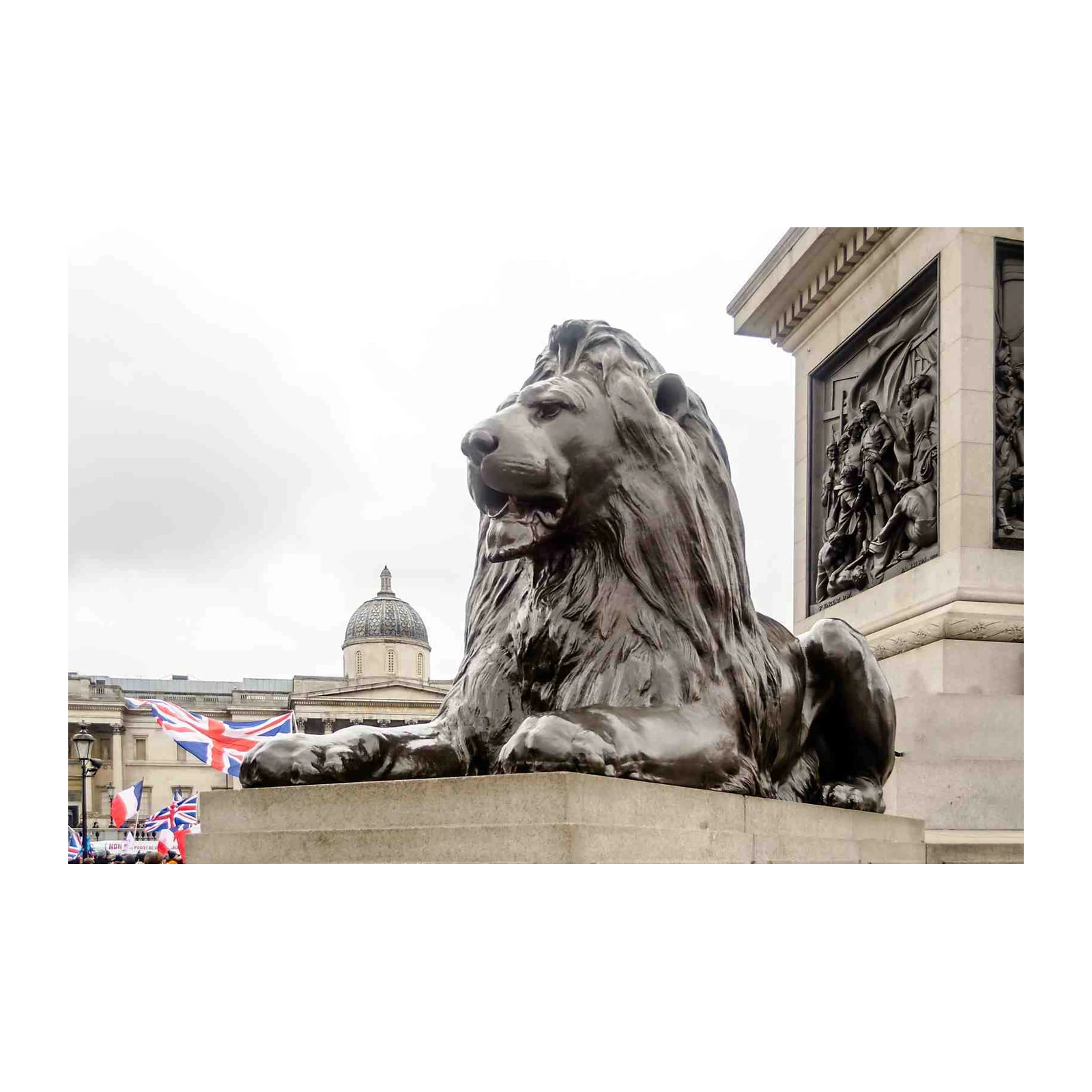 Majestic Lion of Trafalgar Square Wall Art