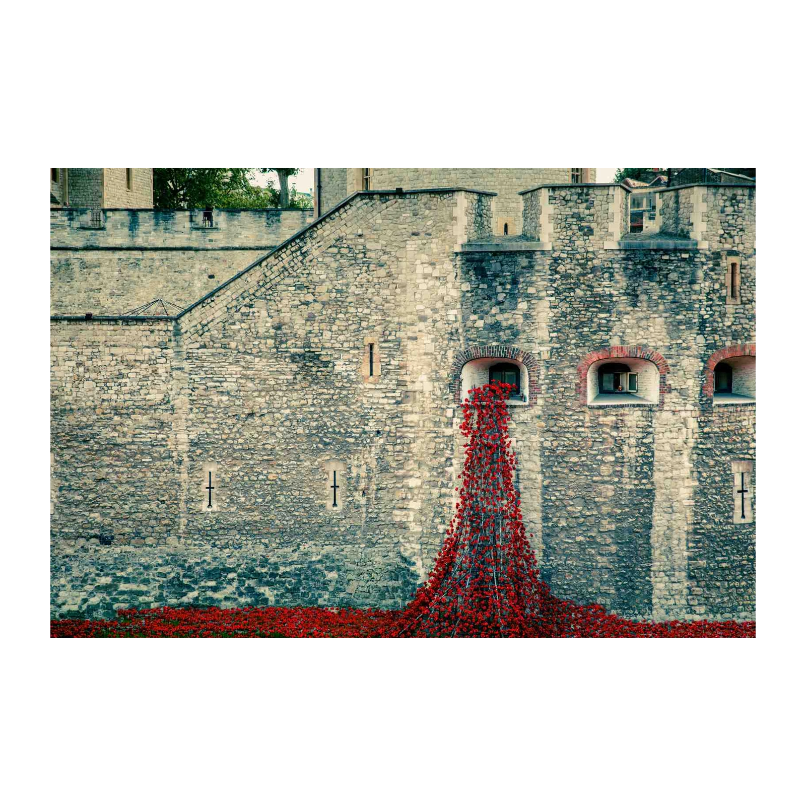 Poignant Poppy Cascade Tower of London Wall Art