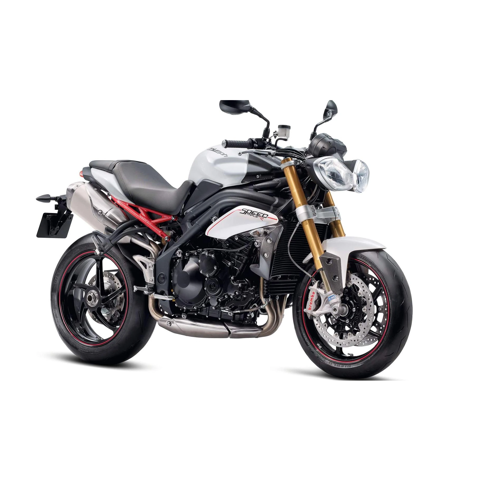 Triumph Speed Triple Motorcycle Wall Art Art