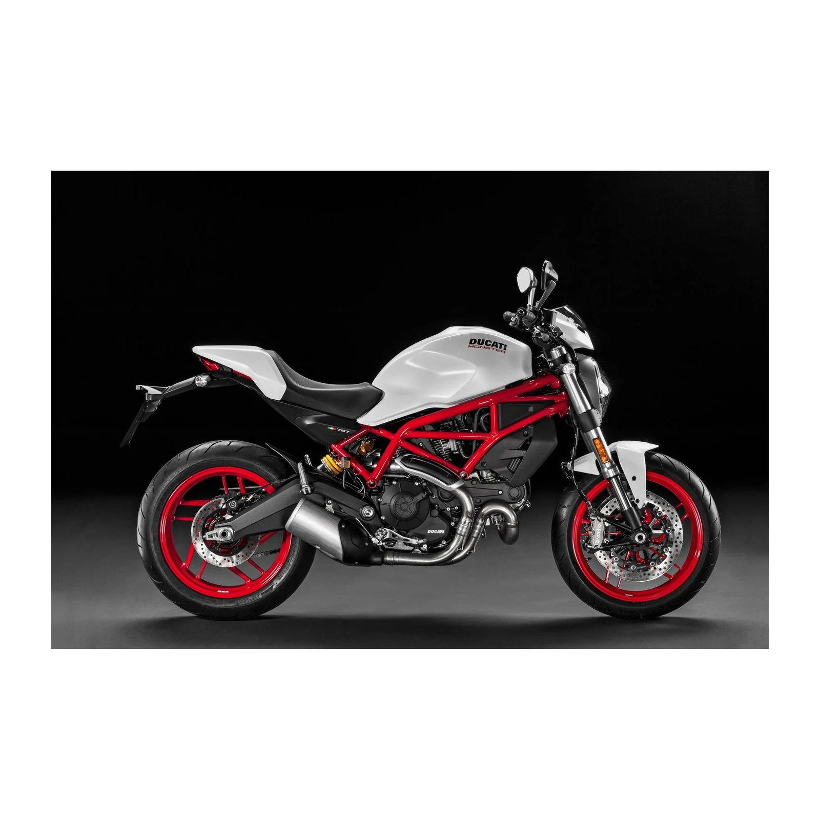 Ducati Monster Motorcycle Art Wall Art