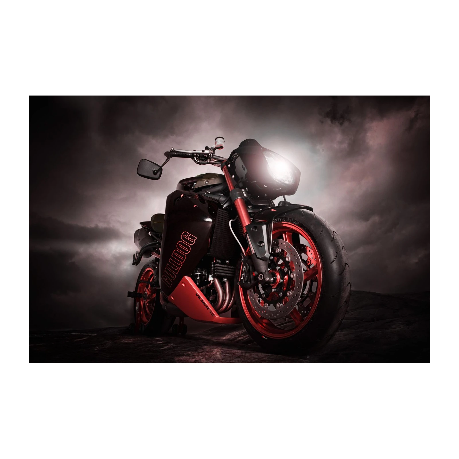 Dark Power Motorcycle "Bulldog" Wall Art