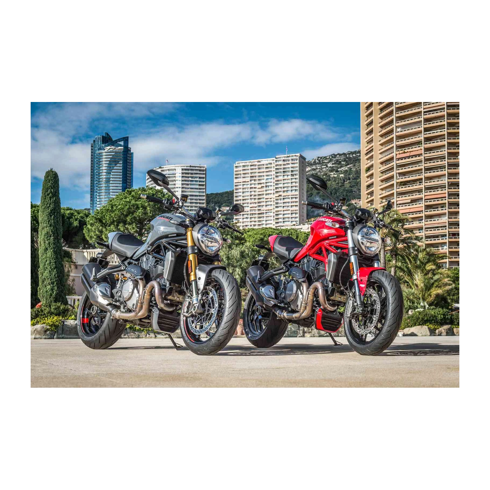 Ducati Power Duo Motorcycle Wall Art