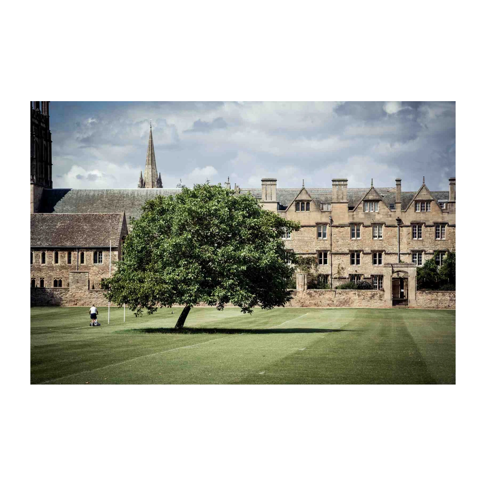 Historic Courtyard Tree Wall Art