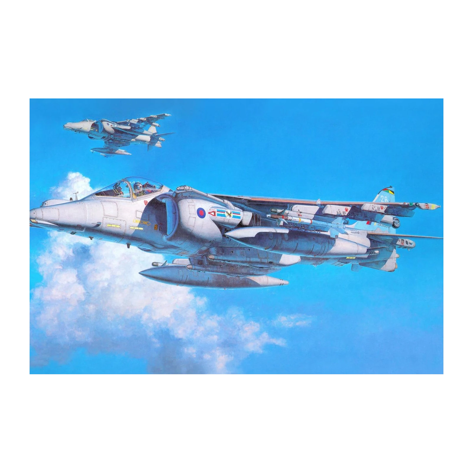 Harrier Jets in Formation Wall Art