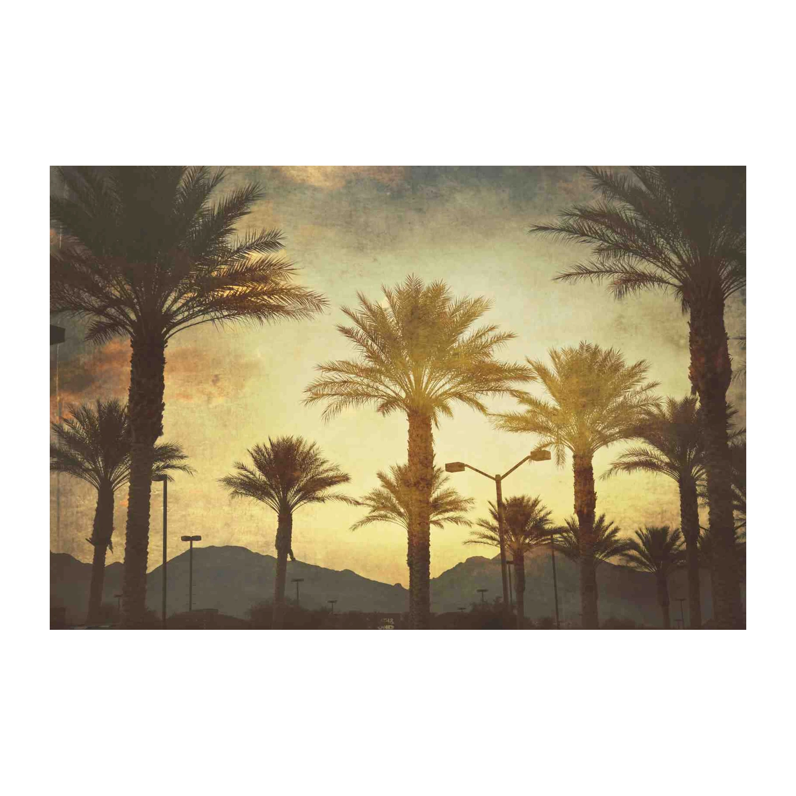 Sunset Palm Grove Vintage Wall Art