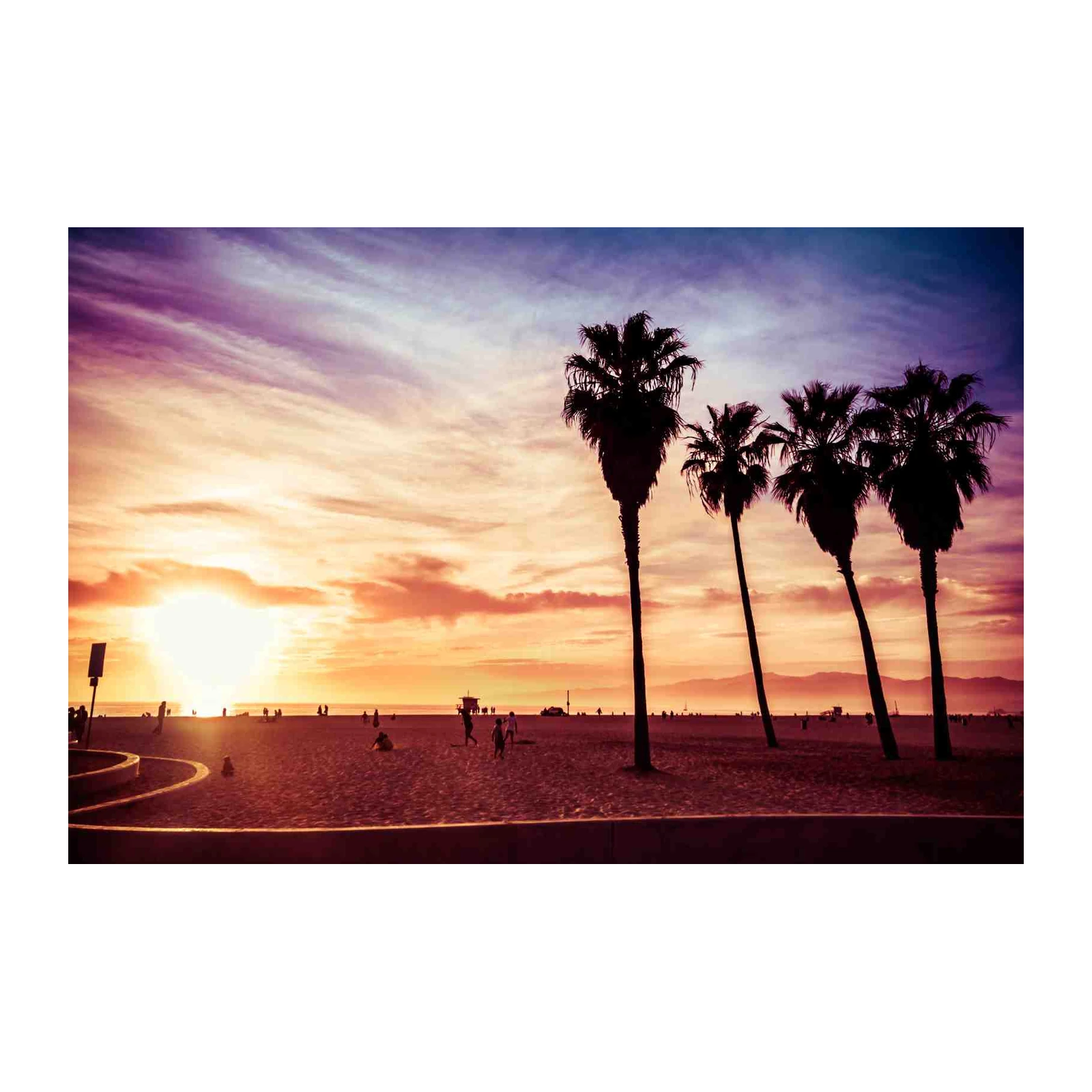 Vibrant Sunset Palm Trees Wall Art
