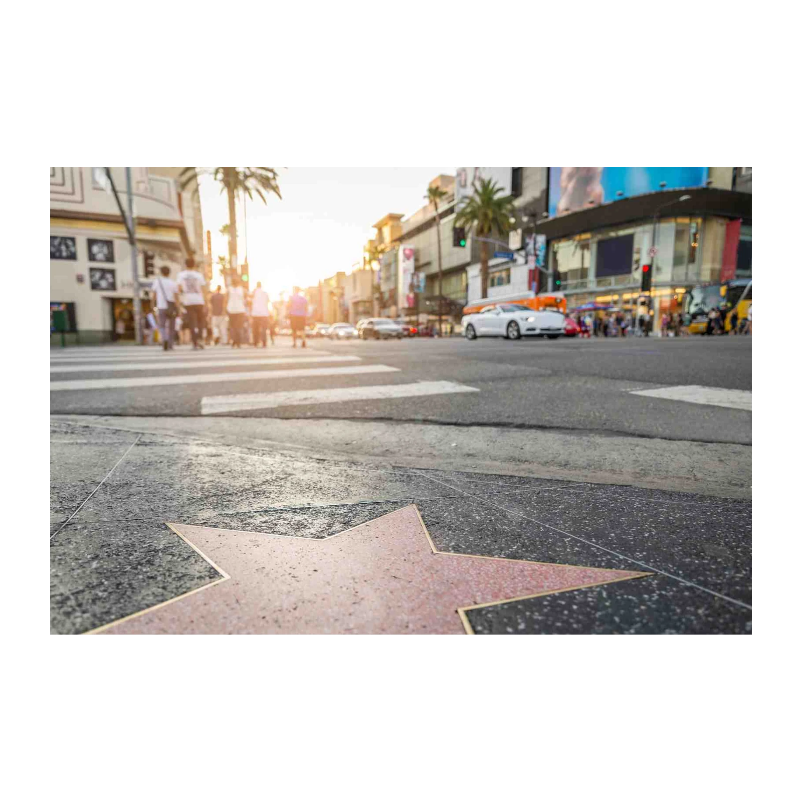 Hollywood Walk of Fame Star Wall Art