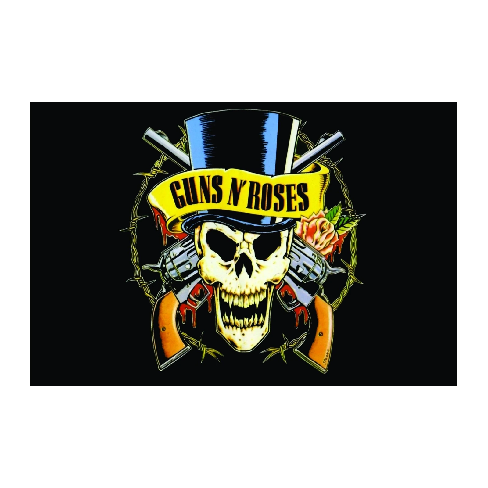 Guns N' Roses Skull Logo Wall Art