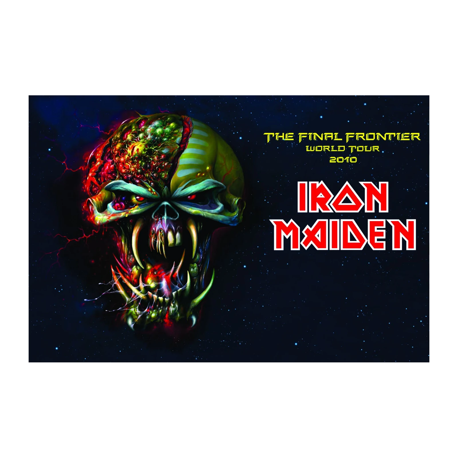 Iron Maiden Final Frontier Skull Wall Art