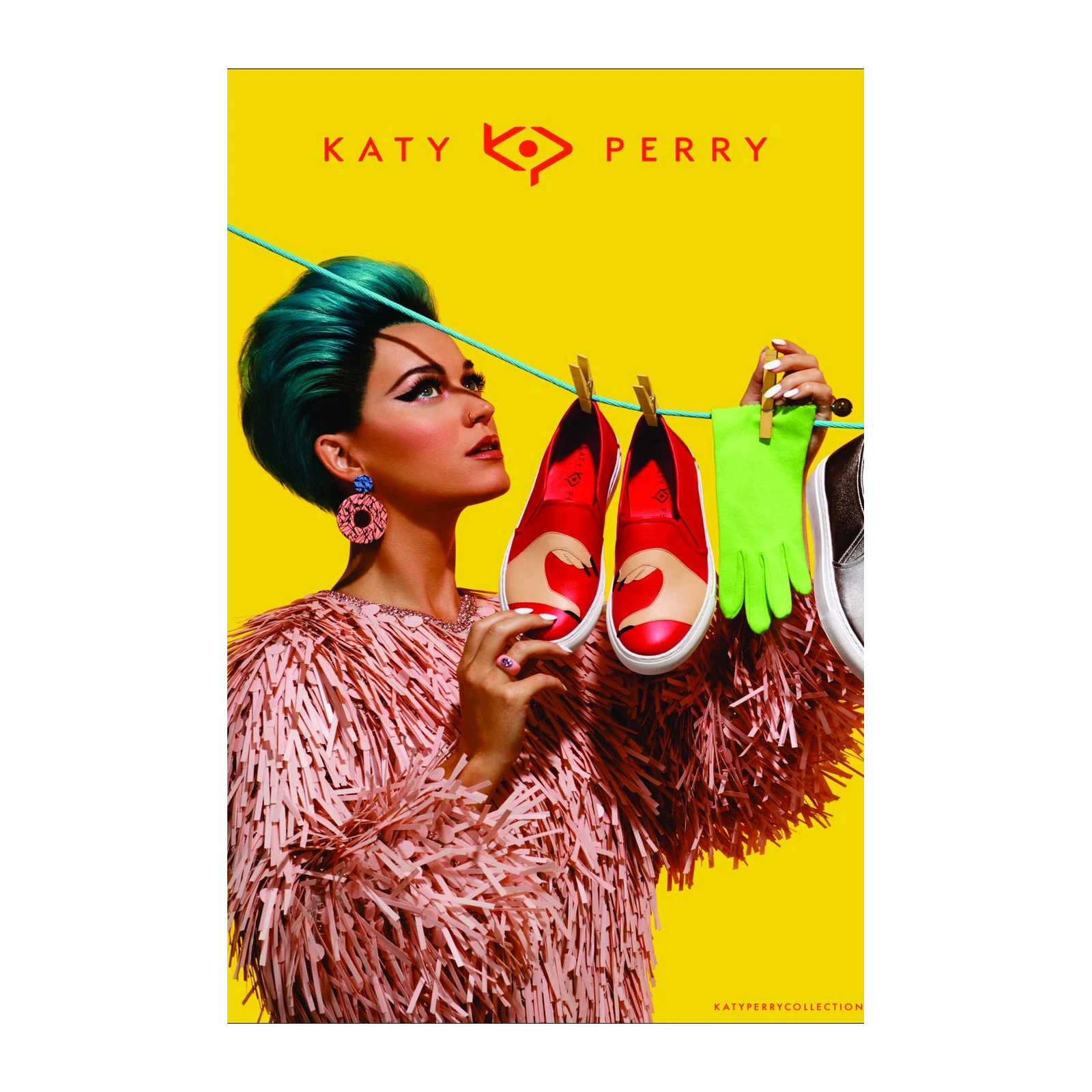 Katy Perry Flamingo Shoes Wall Art