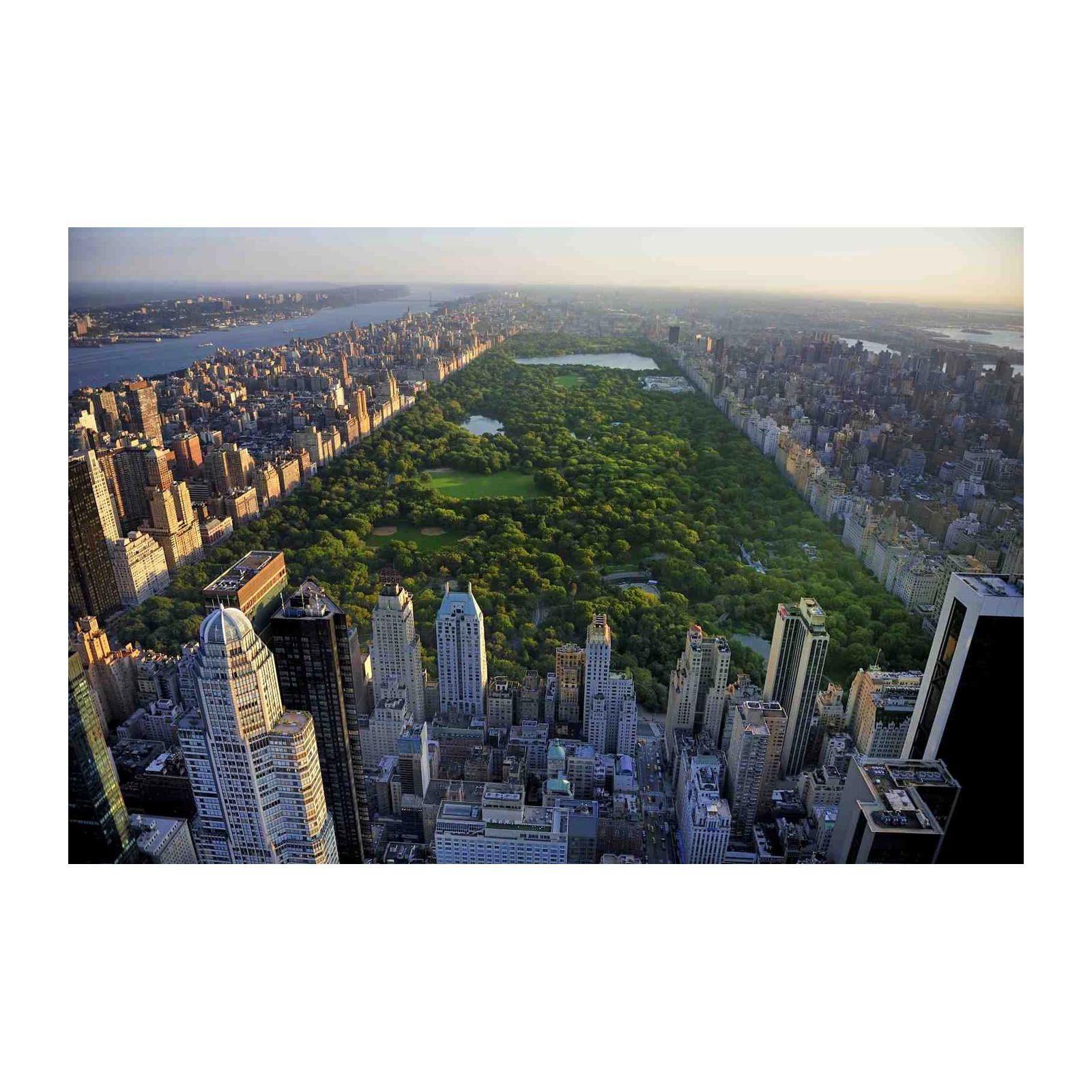 New York Central Park Aerial Wall Art