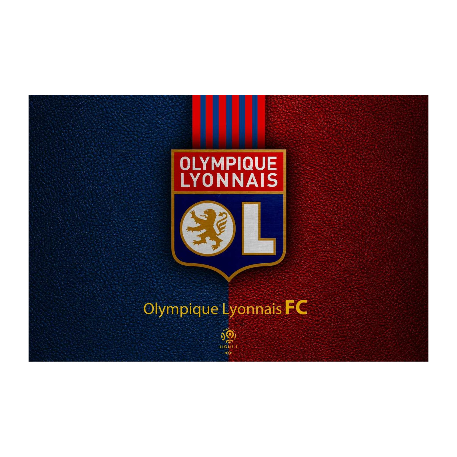 Olympique Lyonnais FC Crest Wall Art