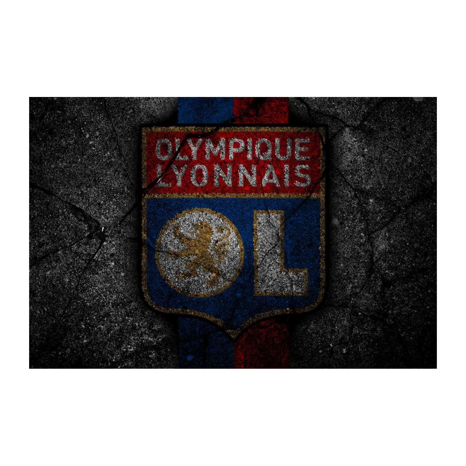 Olympique Lyon Grunge Logo Wall Art