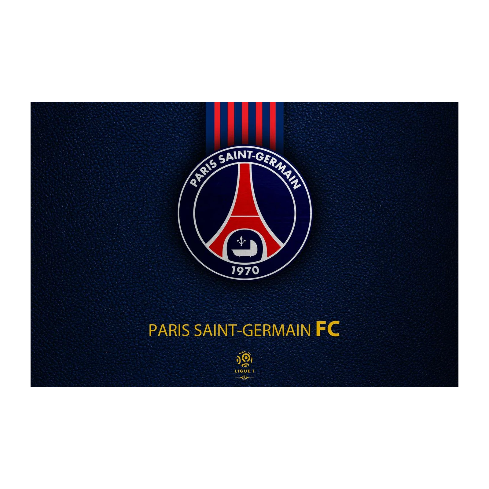PSG Paris Saint-Germain FC Logo Wall Art Wall Art