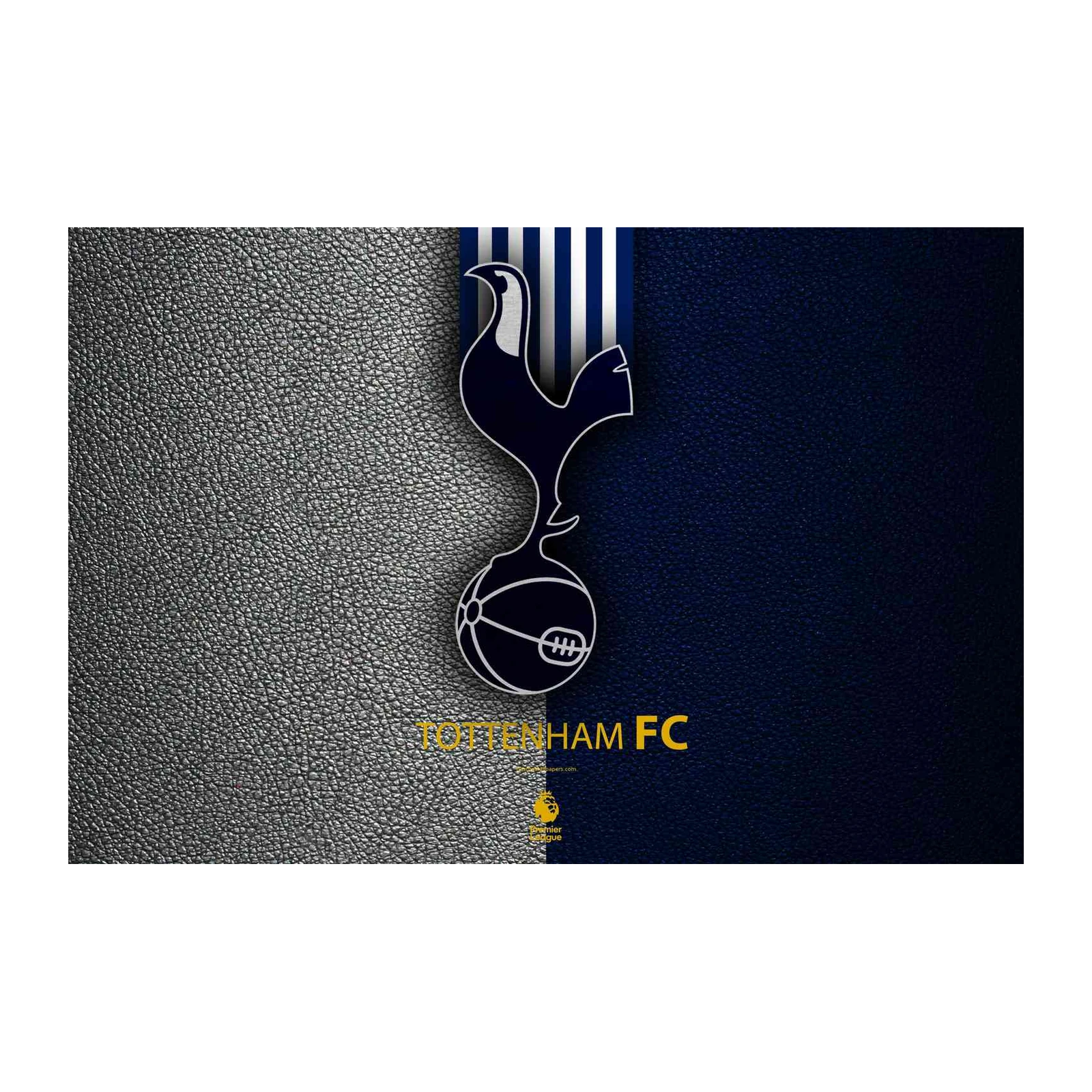 Tottenham Hotspur FC Premier League Wall Art