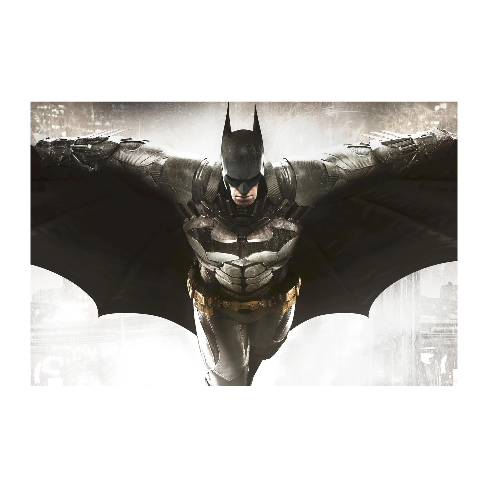 Dark Knight Dynamic Pose Wall Art